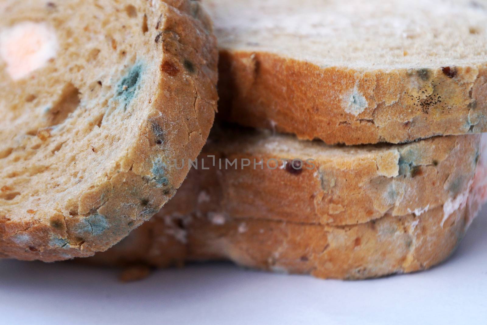 blue and pink mold on bread close up