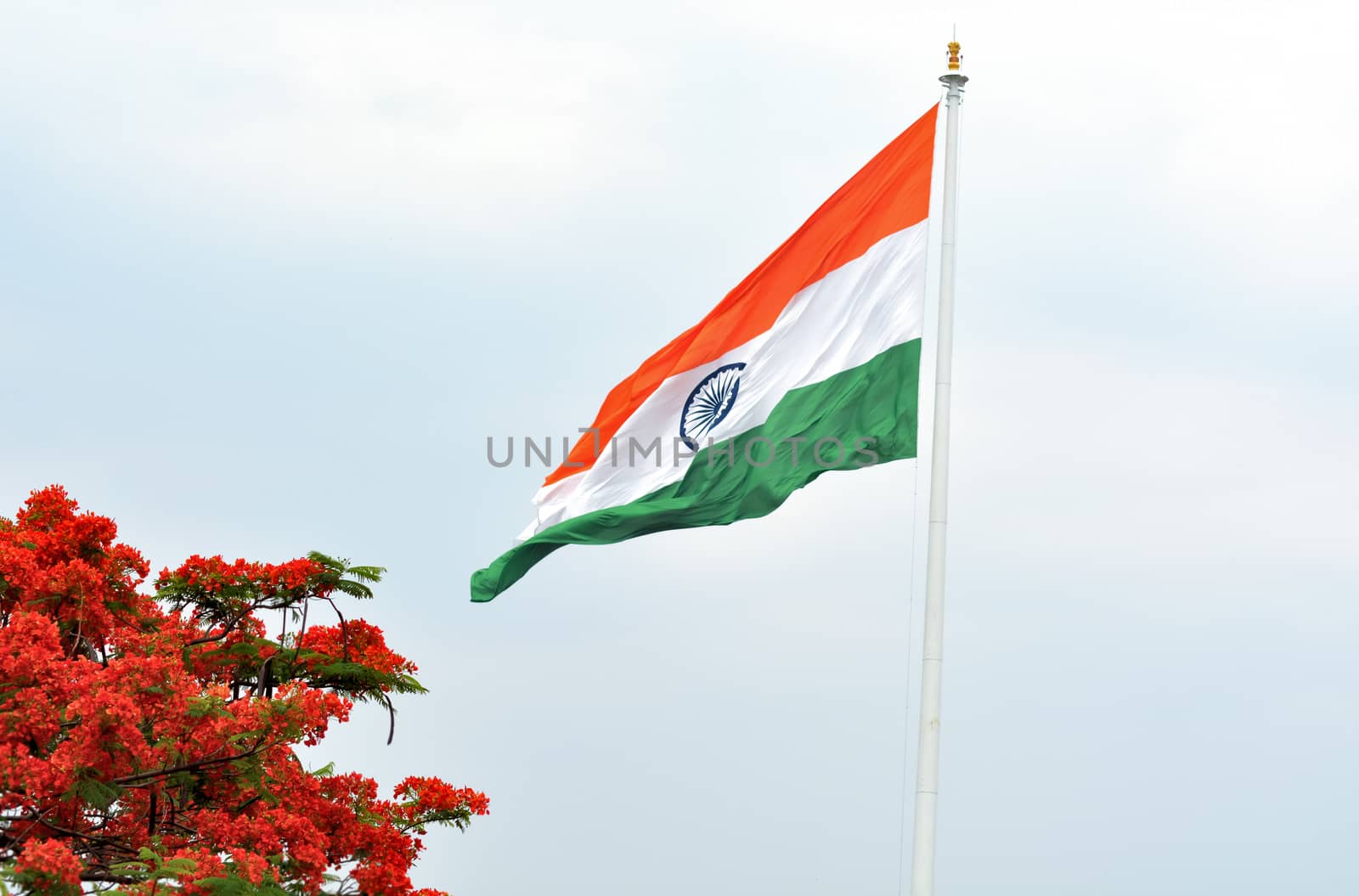 Indian flag waving in a air on independence day of india by rkbalaji