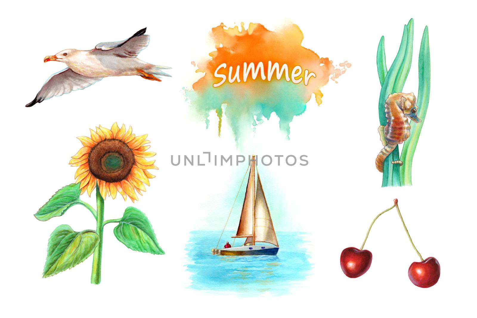 Collection of five summer themed watercolor illustrations, including a seagull, sunflower, seahorse, sail boat and some cherries. Traditional watercolor on paper.