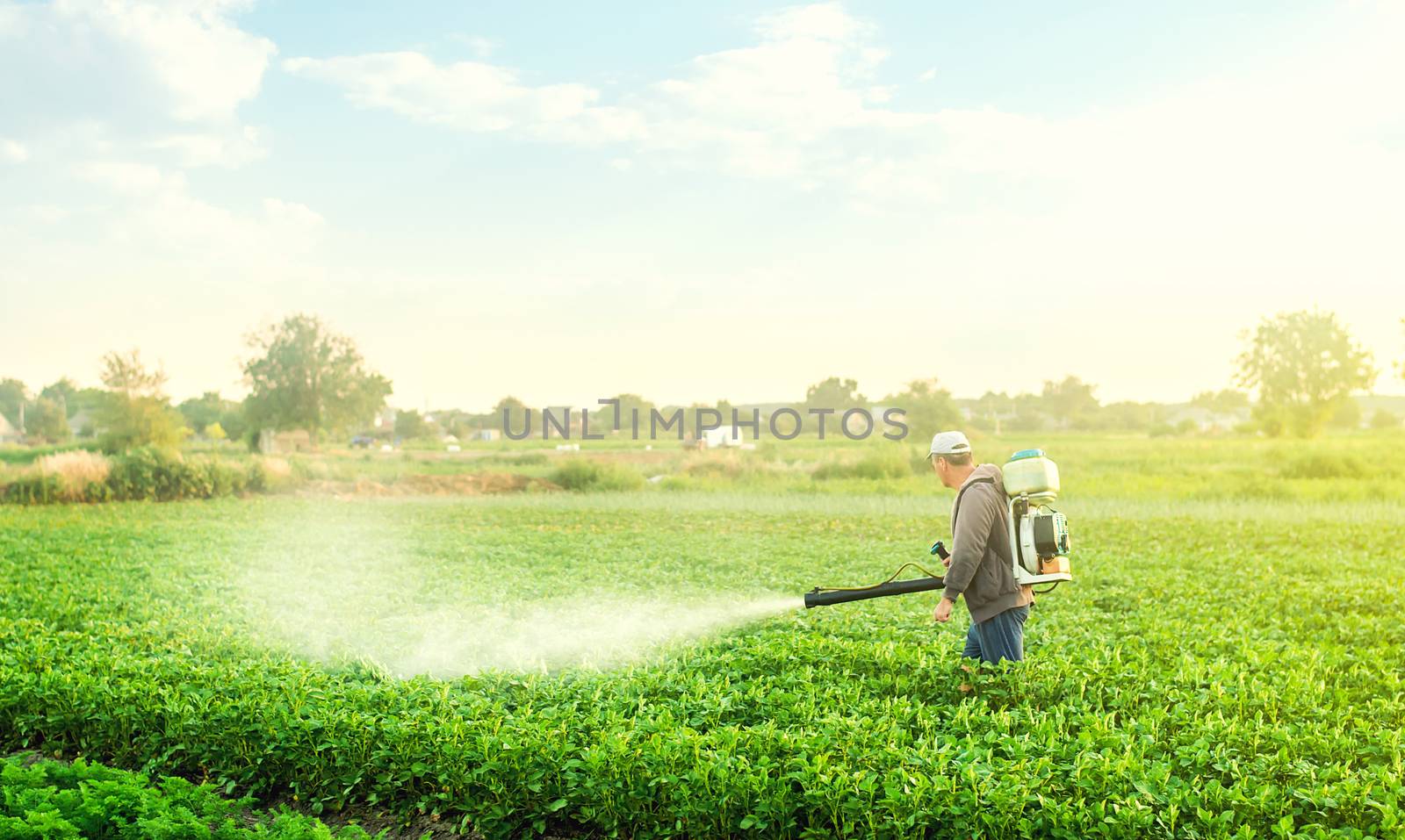 A farmer with a mist blower sprayer walks through the potato plantation. Use chemicals in agriculture. Agriculture and agribusiness. Treatment of the farm field against insect pests, fungal infections