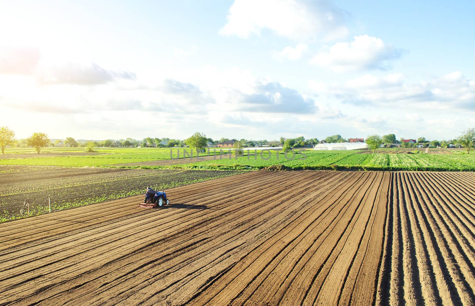 Farmer on a tractor cultivates land after harvesting. Loosening, improving soil quality. Development of agricultural technologies. Cultivating soil for further planting. Food vegetable production