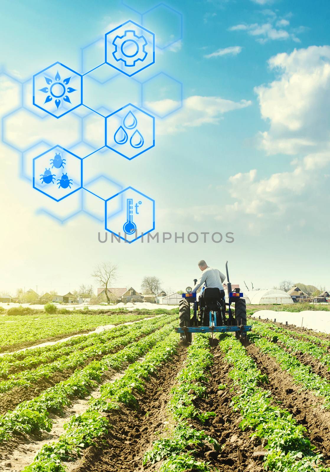 A farmer drives a tractor across potato plantation field and hexagons with innovations. Science of agronomy. Improvement in quality and yield growth. Reducing the impact on the environment.