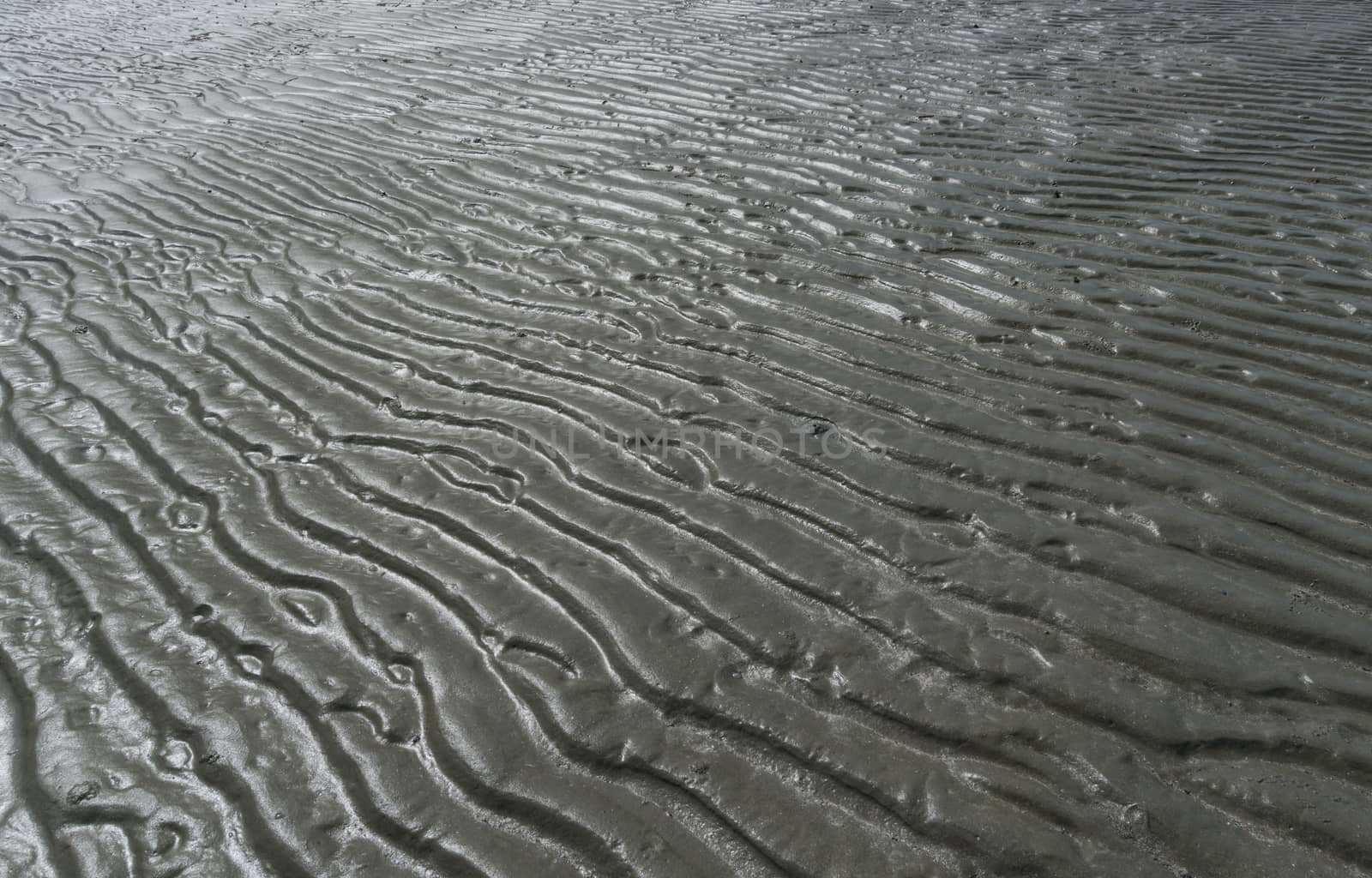 Gray sand under the sea texture background with sun light. Natural curve line sand under the sea in Tidal phenomena