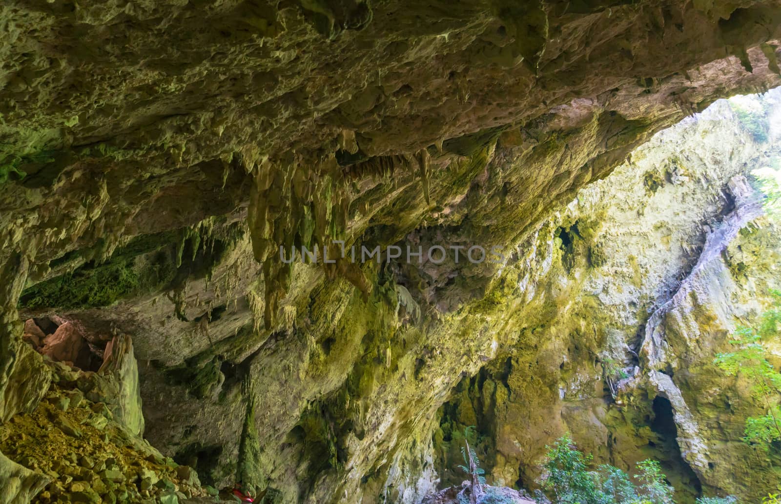 Inside Phraya Nakhon Cave with Stalactites and Stalagmites and green tree at Prachuap Khiri Khan Thailand. Natural cave in unseen Thailand