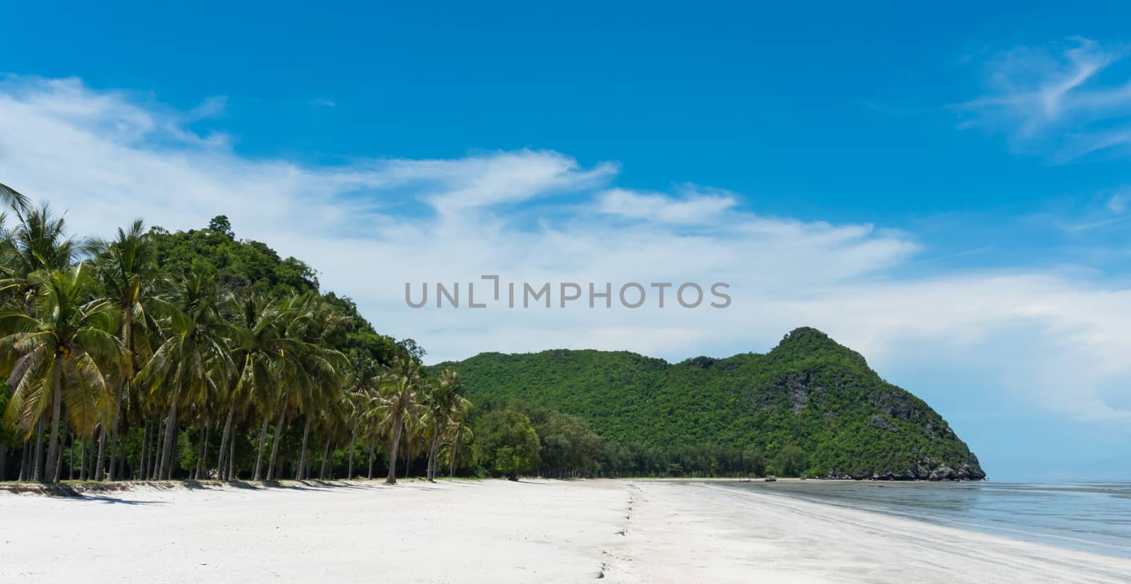 Green tree rock or stone mountain or hill and coconut tree at Sam Phraya Beach Prachuap Khiri Khan Thailand. Landscape or scenery in natural 
for summer concept