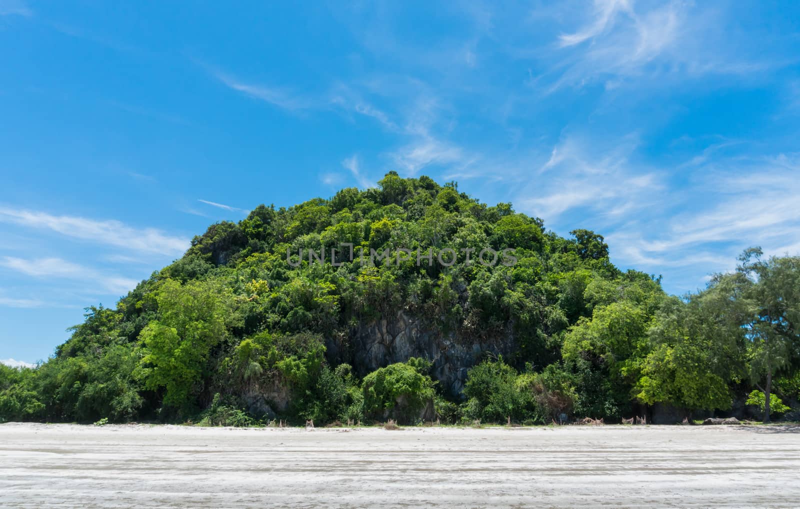 Green tree rock or stone mountain or hill at Sam Phraya Beach Prachuap Khiri Khan Thailand. Landscape or scenery in natural for summer 
concept