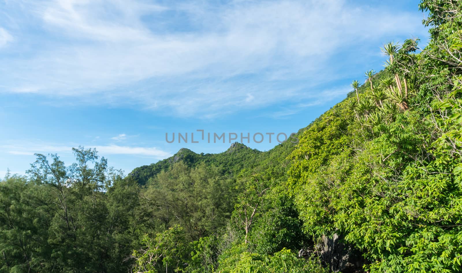 Green Tree on Rock or Stone Mountain or Hill and Blue Sky Prachuap Khiri Khan Thailand. Landscape or scenery summer season concept