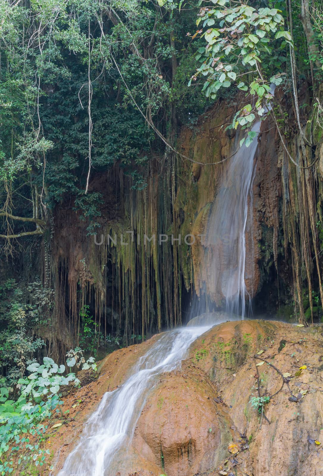 Nam Tok Phu Sang Forest Park or Phu Sang Waterfall Phayao Attractions Thailand Travel Vertical. Natural Nam Tok Phu Sang Forest Park or Phu Sang Waterfall with landscape green tree and 
stone. Northern Thailand travel