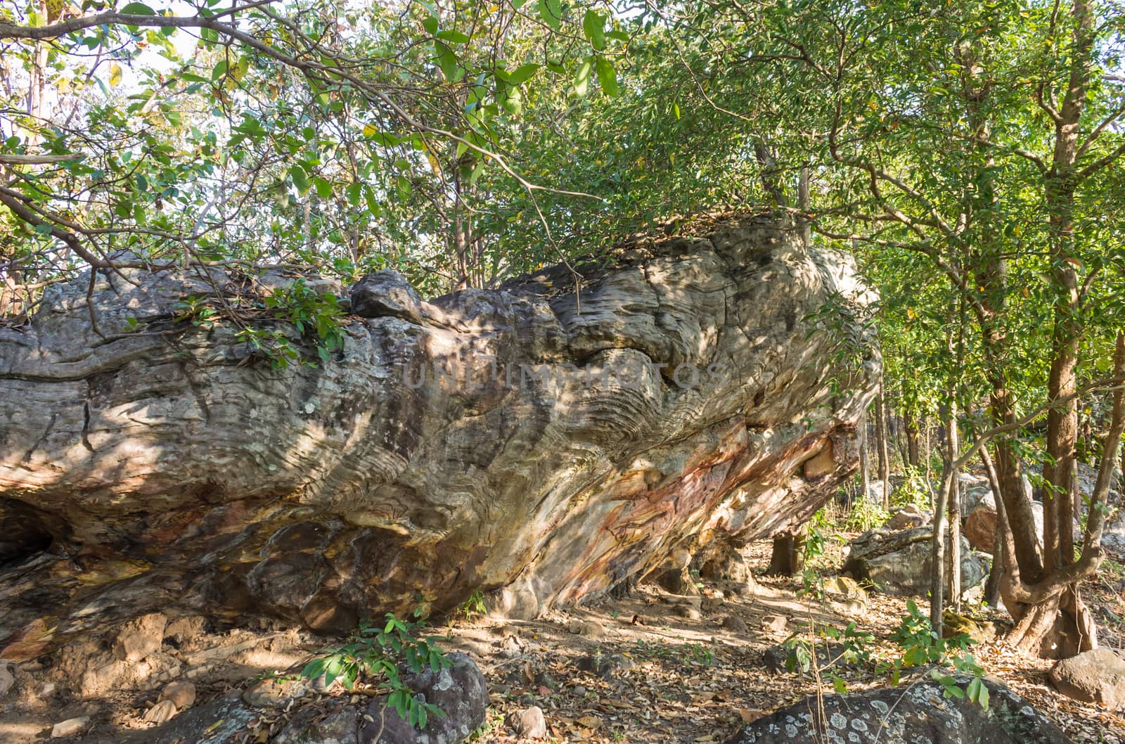 Stone Rock Cliff Mountain Hill or Pha Ngerp Phayao Attractions N by steafpong