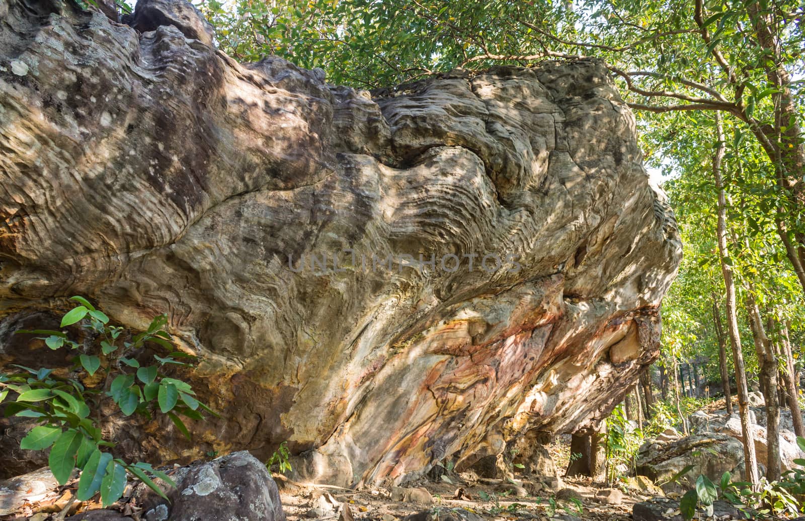 Stone Rock Cliff Mountain Hill or Pha Ngerp Phayao Attractions Northern Thailand Travel Zoom. Natural rock cliff mountain hill with warm sun light and tree. Phayao attractions or landmark 
northern Thailand travel