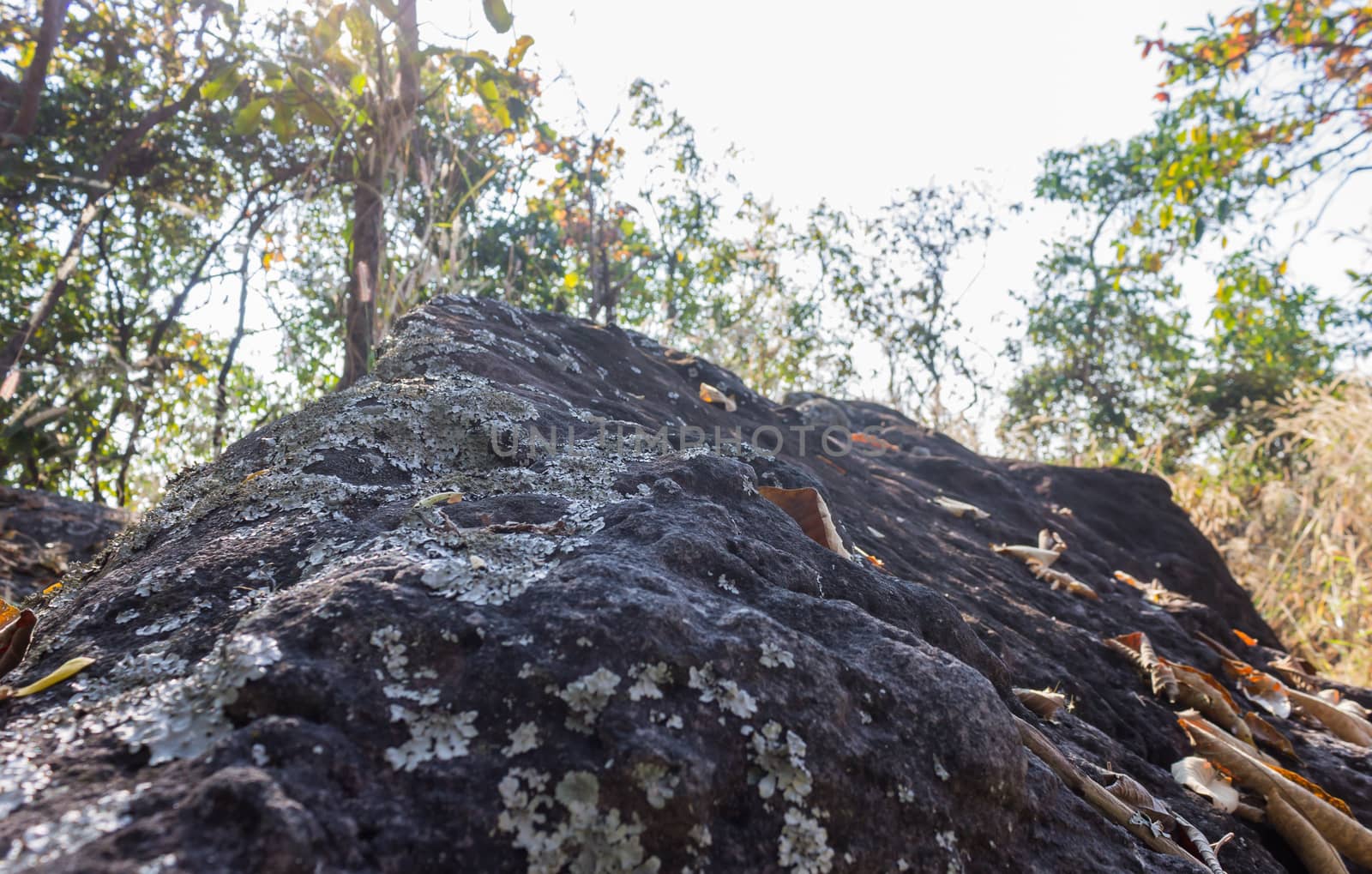 Black Stone or Rock Cliff Mountain Hill on Tree and Sky Background. Natural attractions in Phayao northern Thailand travel