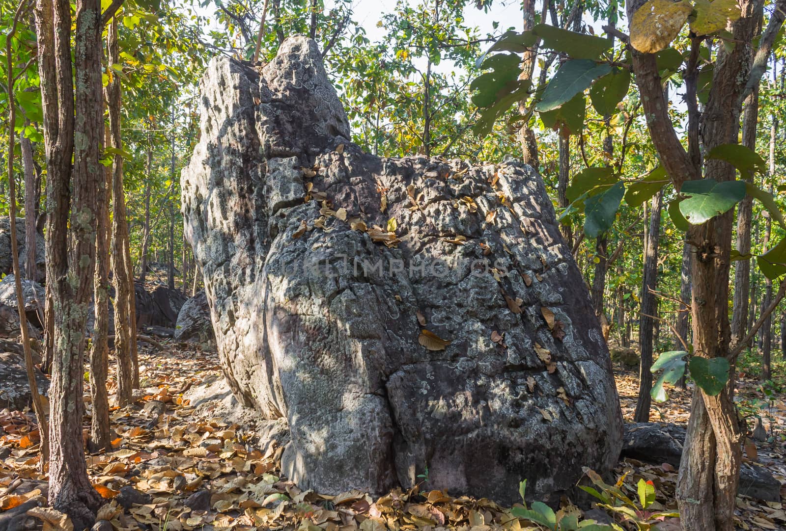 King Seat Stone or Rock at Phayao Attractions Northern Thailand Travel Back. Natural rock or stone is called King Seat at Phayao landmark northern Thailand travel