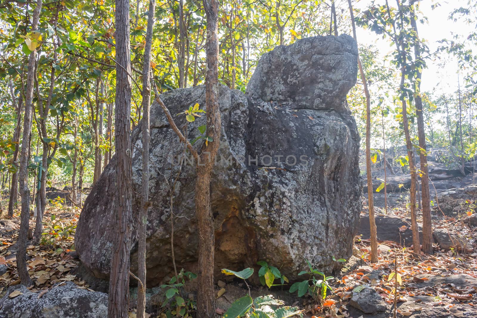 King Seat Stone or Rock at Phayao Attractions Northern Thailand Travel Front. Natural rock or stone is called King Seat at Phayao landmark northern Thailand travel