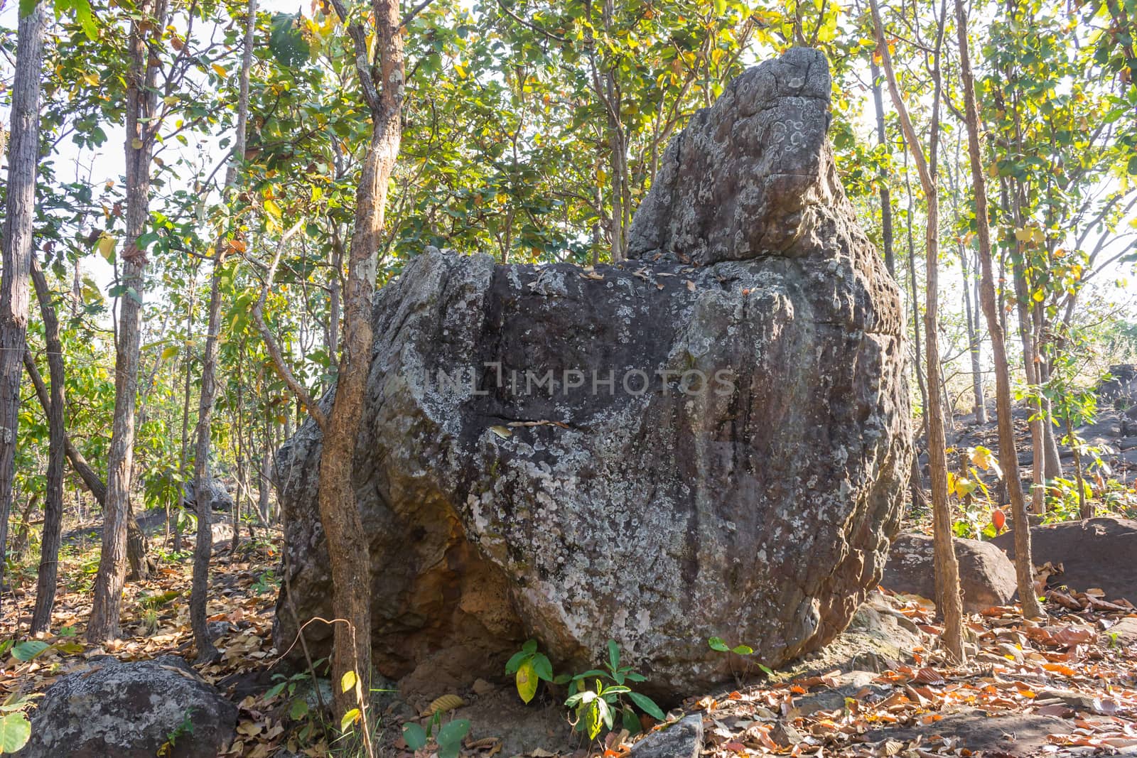 King Seat Stone or Rock at Phayao Attractions Northern Thailand  by steafpong