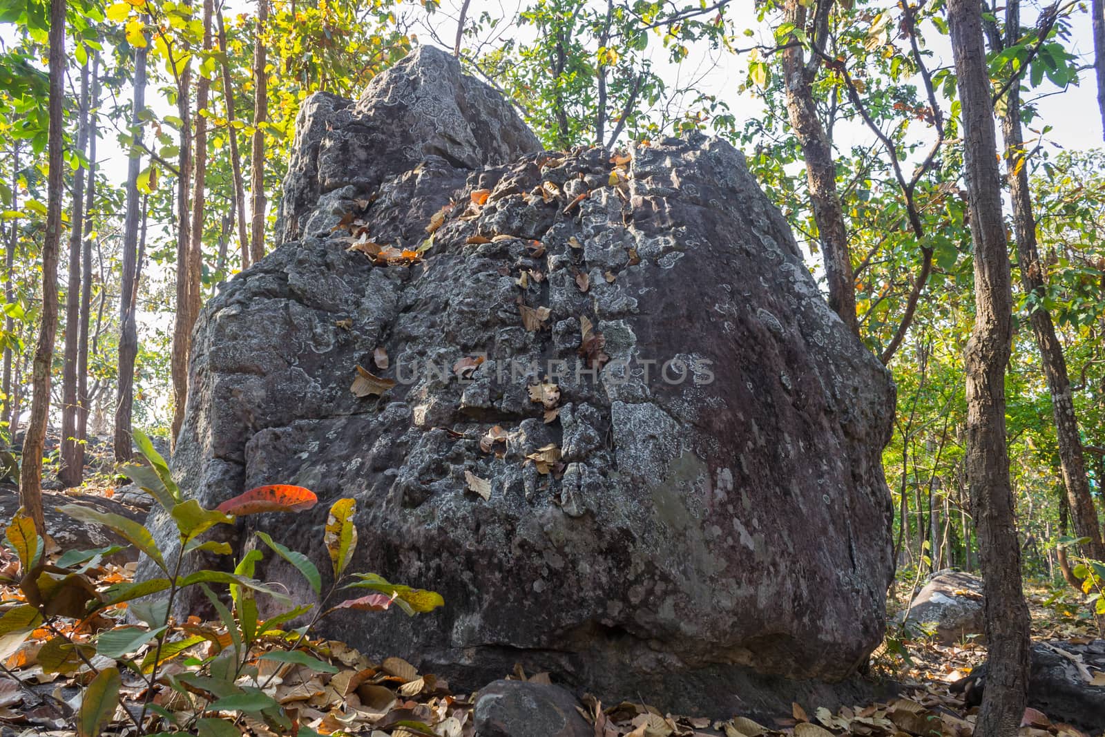 King Seat Stone or Rock at Phayao Attractions Northern Thailand  by steafpong