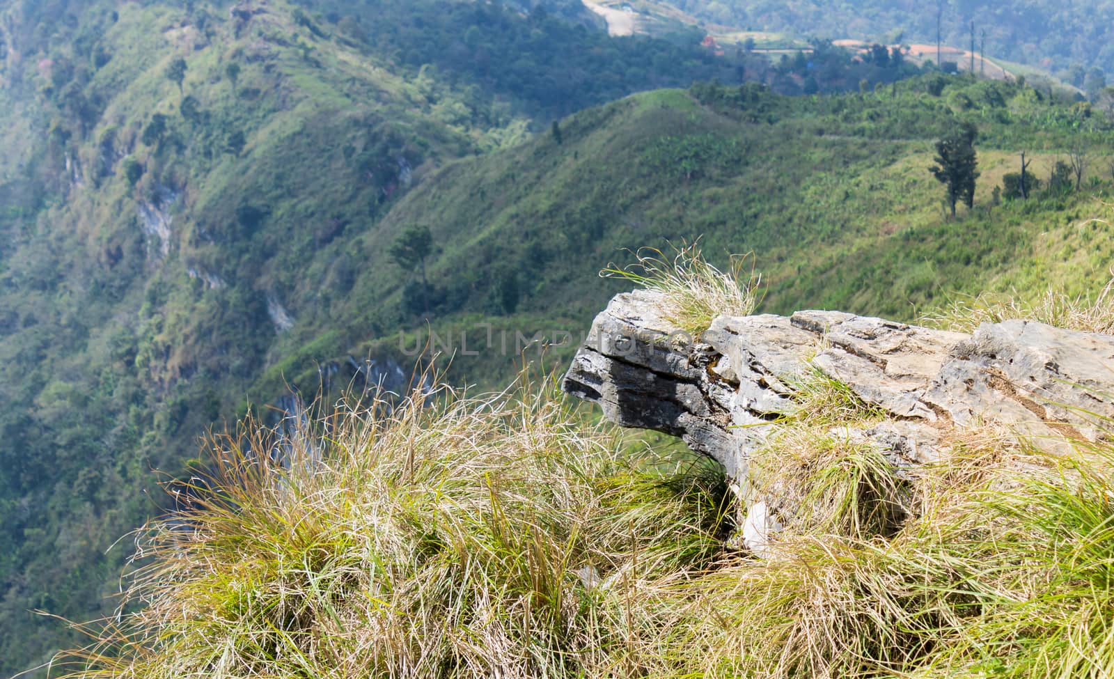 Stone or Rock Landscape on Phu Chi Fa Forest Park View Point wit by steafpong