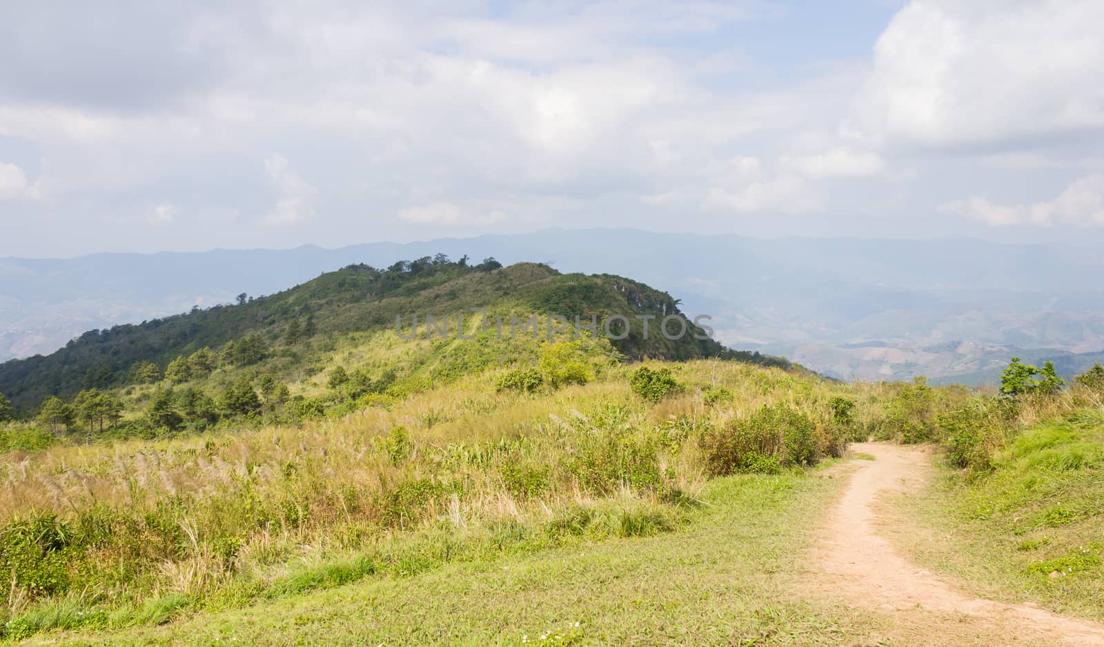 Meadow Mountain on Phu Chi Fa Forest Park with Sky and Cloud. Landscape Phu Chi Fa Forest Park view point Chiang Rai northern Thailand travel