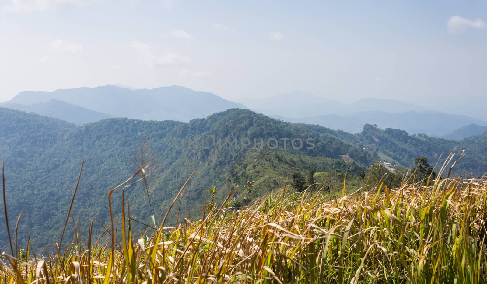 Phu Chi Fa Forest Park with Grass Field Green Mountain Sky and Cloud. Phu Chi Fa forest park view point Chiang Rai Northern Thailand travel