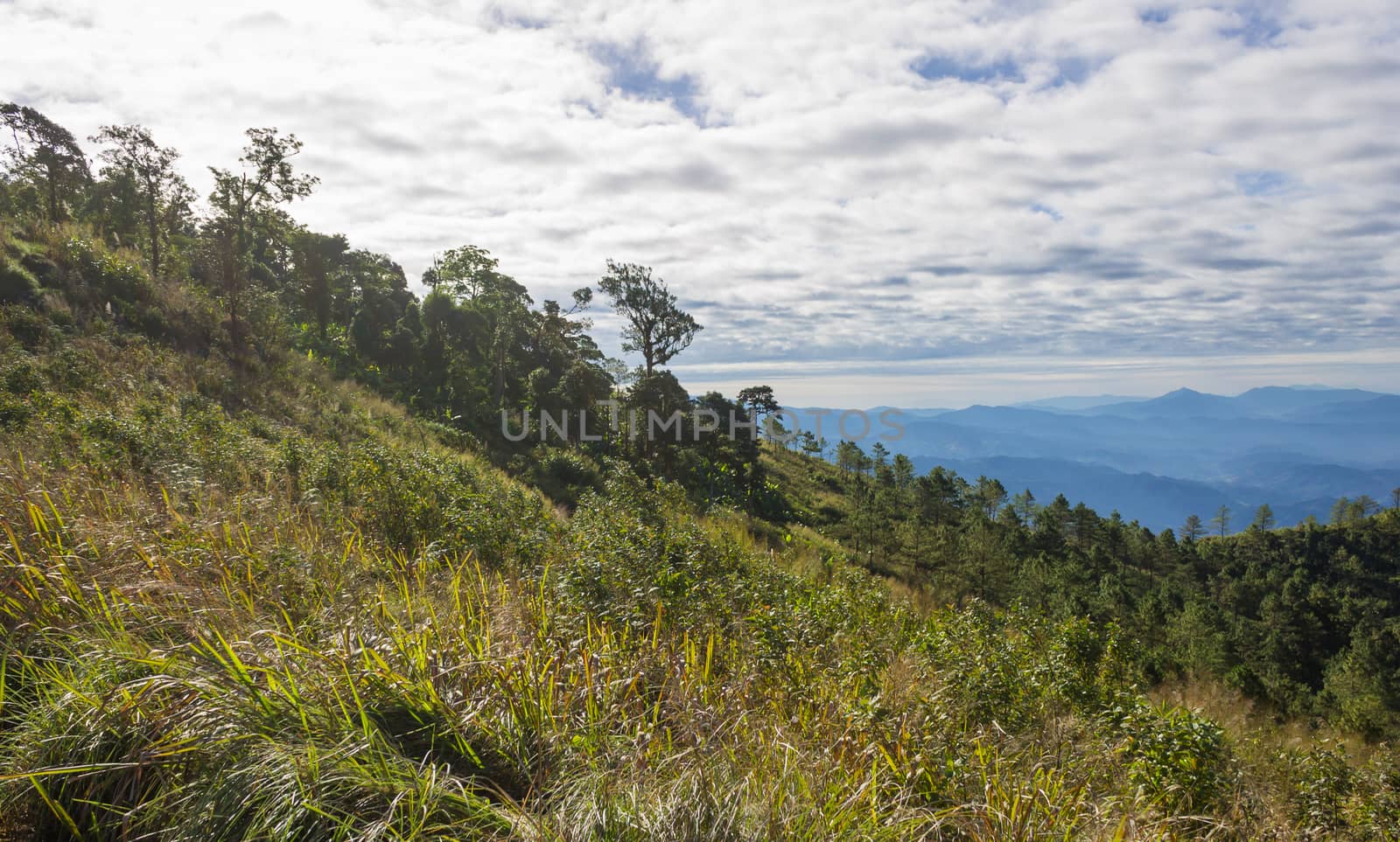 Mountain or Hill at Phu Langka National Park Phayao Thailand. Mountain or Hill and Blue Sky and Cloud at Lan Hin Lan Pee Phu Langka National Park Phayao Northern Thailand 
Travel