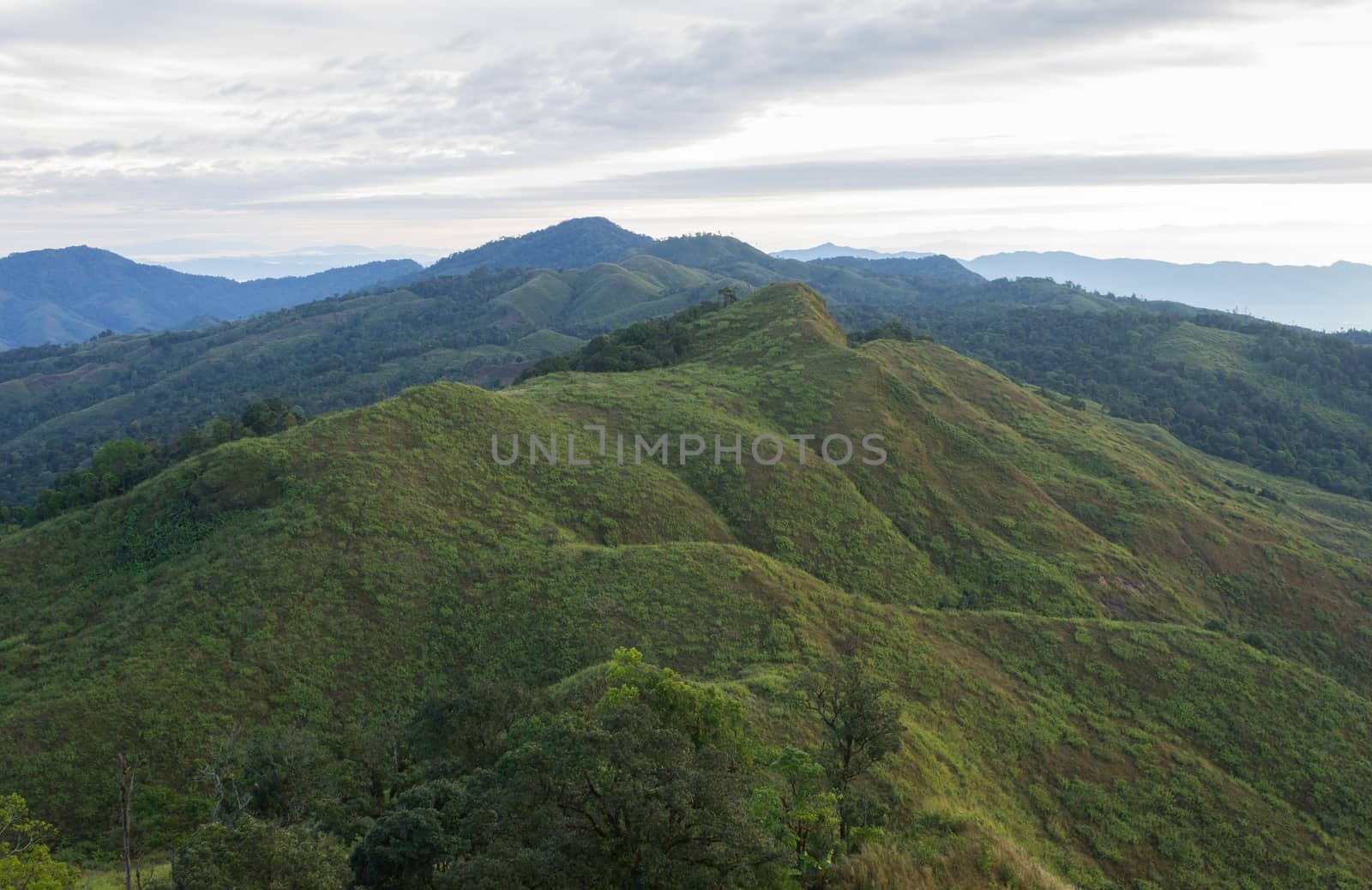 Phu Langka Mountain National Park View Point Center Frame. Phu Langka national park view point with mountain sky cloud and tree at Phayao Thailand. Northern Thailand travel