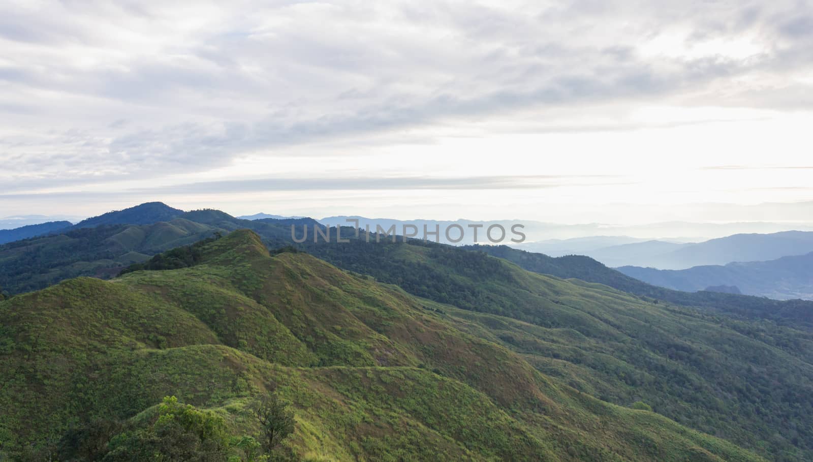 Phu Langka Mountain National Park View Point Left Frame. Phu Langka national park view point with mountain sky cloud and tree at Phayao Thailand. Northern Thailand travel