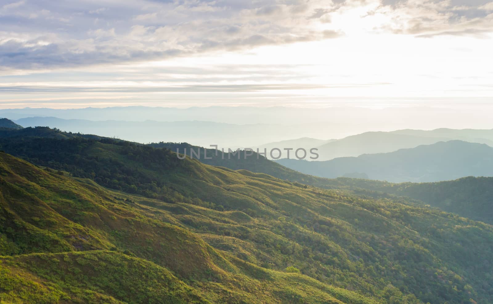 Wave Hill and Sunrise Cloud Sky at Phu Langka National Park Phayao Thailand Travel. Phu Langka mountain national park landscape with warm sun light and cloud