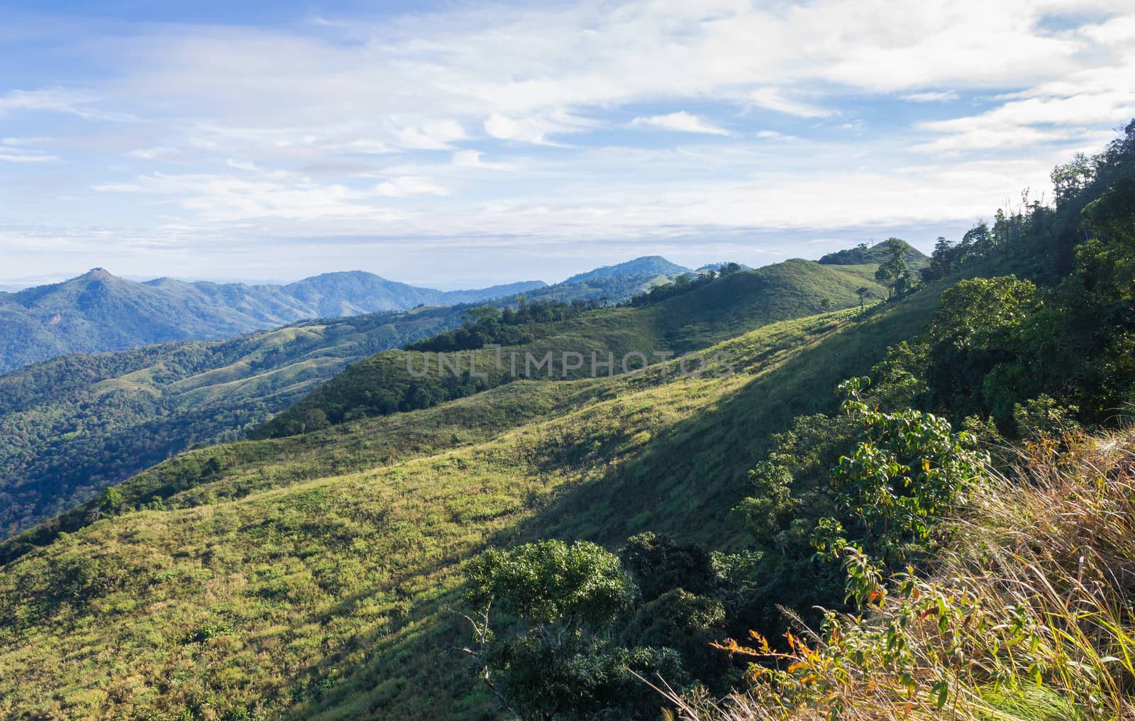 3 Green Tree Mountain with Warm Sun Light and Blue Sky Cloud at Phu Langka National Park Normal. Green Tree Mountain or Hill at Lan Hin Lan Pee Phu Langka National Park Northern 
Phayao Thailand Travel