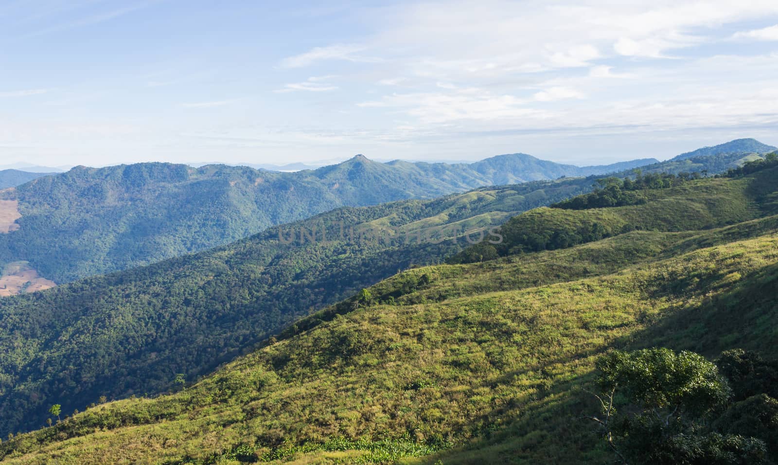 3 Green Tree Mountain with Warm Sun Light and Blue Sky Cloud at Phu Langka National Park Zoom. Green Tree Mountain or Hill at Lan Hin Lan Pee Phu Langka National Park Northern 
Phayao Thailand Travel