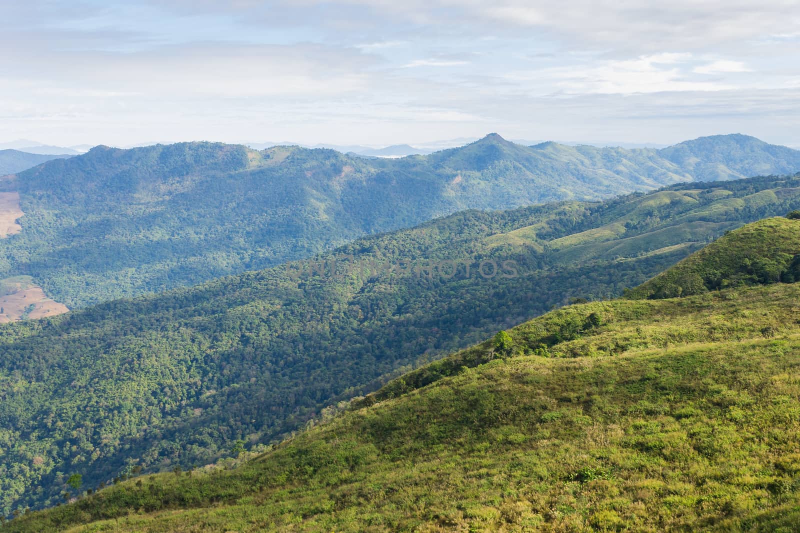 3 Green Tree Mountain with Warm Sun Light and Blue Sky Cloud at Phu Langka National Park Zoom. Green Tree Mountain or Hill at Lan Hin Lan Pee Phu Langka National Park Northern 
Phayao Thailand Travel