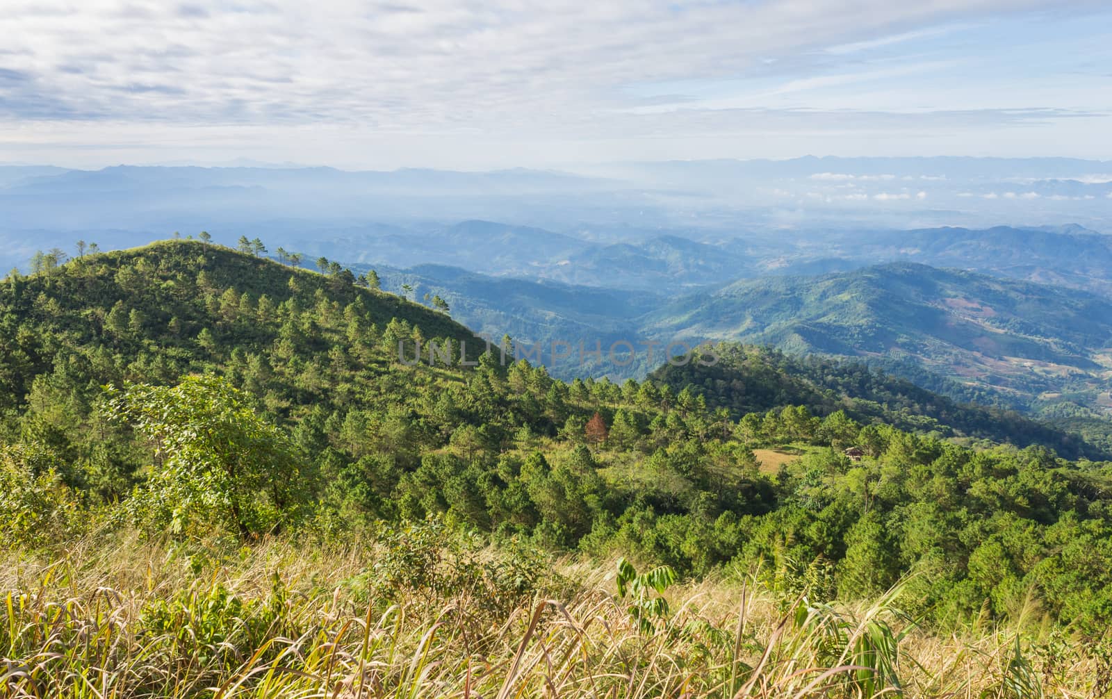 Grass Field on Mountain with Sky and Cloud at Phu Langka National Park Phayao Thailand. Landscape mountain or hill at Lan Hin Lan Pee view point Phu Langka national park 
Phayao Northern Thailand travel