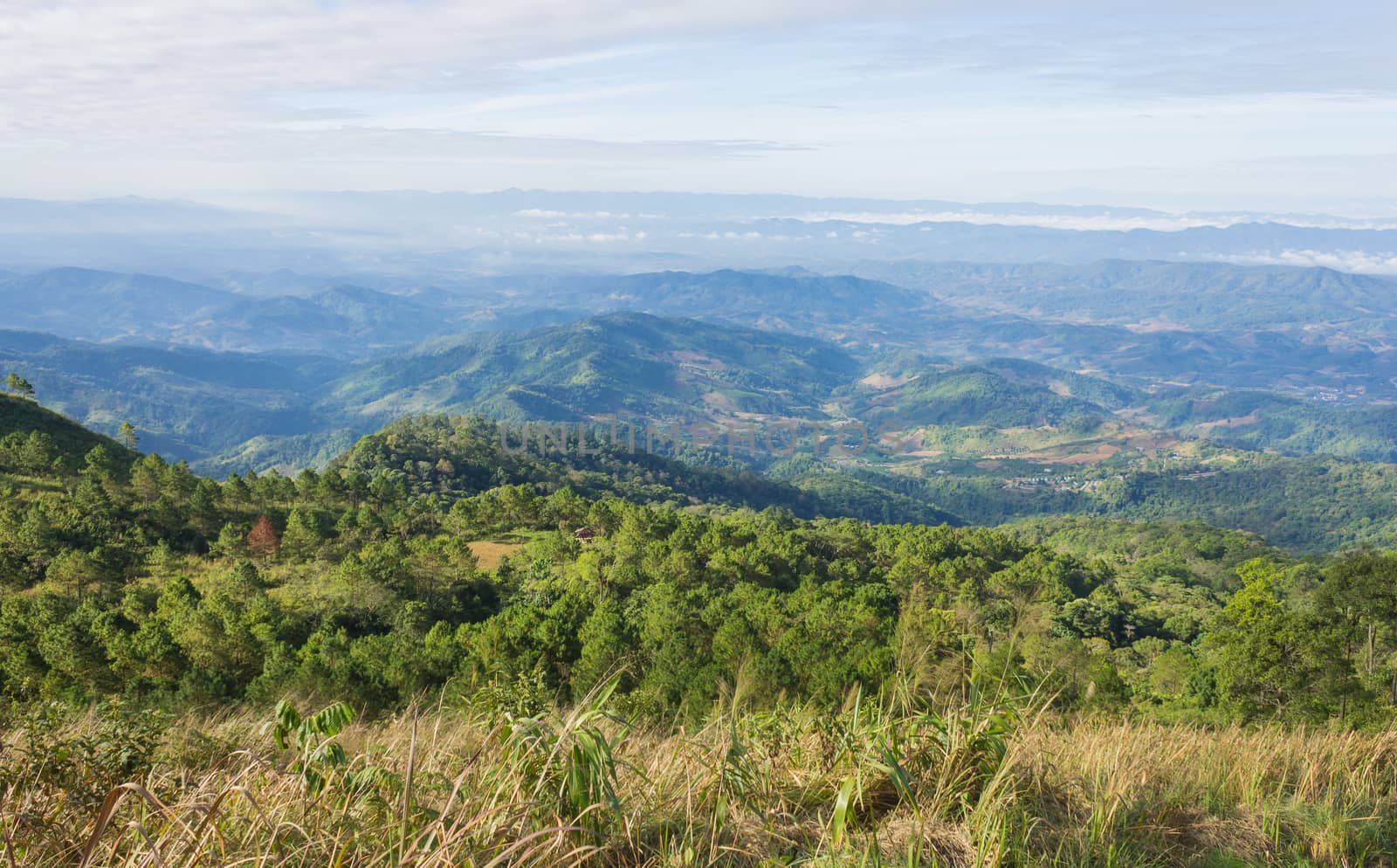 Grass Field on Mountain with Sky and Cloud at Phu Langka National Park Phayao Thailand. Landscape mountain or hill at Lan Hin Lan Pee view point Phu Langka national park 
Phayao Northern Thailand travel