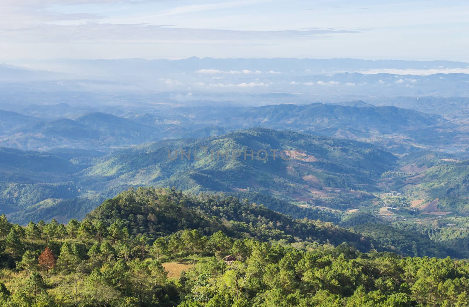 Green Tree Mountain or Hill with Sky Cloud at Phu Langka National Park Phayao Thailand. Green tree at Lan Hin Lan Pee view point Phu Langka national park Phayao northern 
Thailand travel