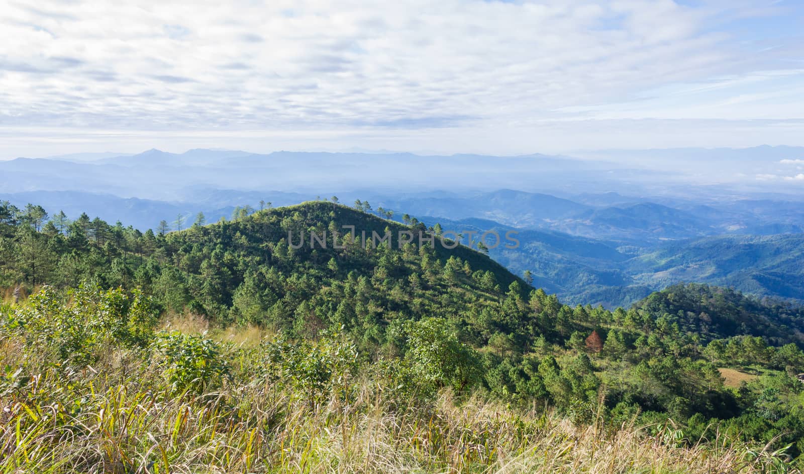 Green Tree Mountain or Hill at Lan Hin Lan Pee Phu Langka National Park Phayao Thailand. Mountain or Hill and Blue Sky and Cloud at Lan Hin Lan Pee Phu Langka National Park Phayao Northern Thailand Travel