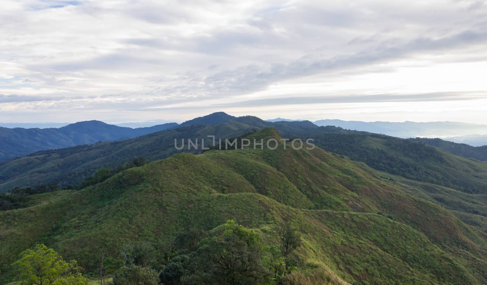 Landscape Phu Langka Mountain National Park View Point Phayao Thailand Travel with Tree. Green tree mountain and cloud sky and warm sun light at Phu Langka national park view 
point Phayao Thailand. Northern Thailand travel