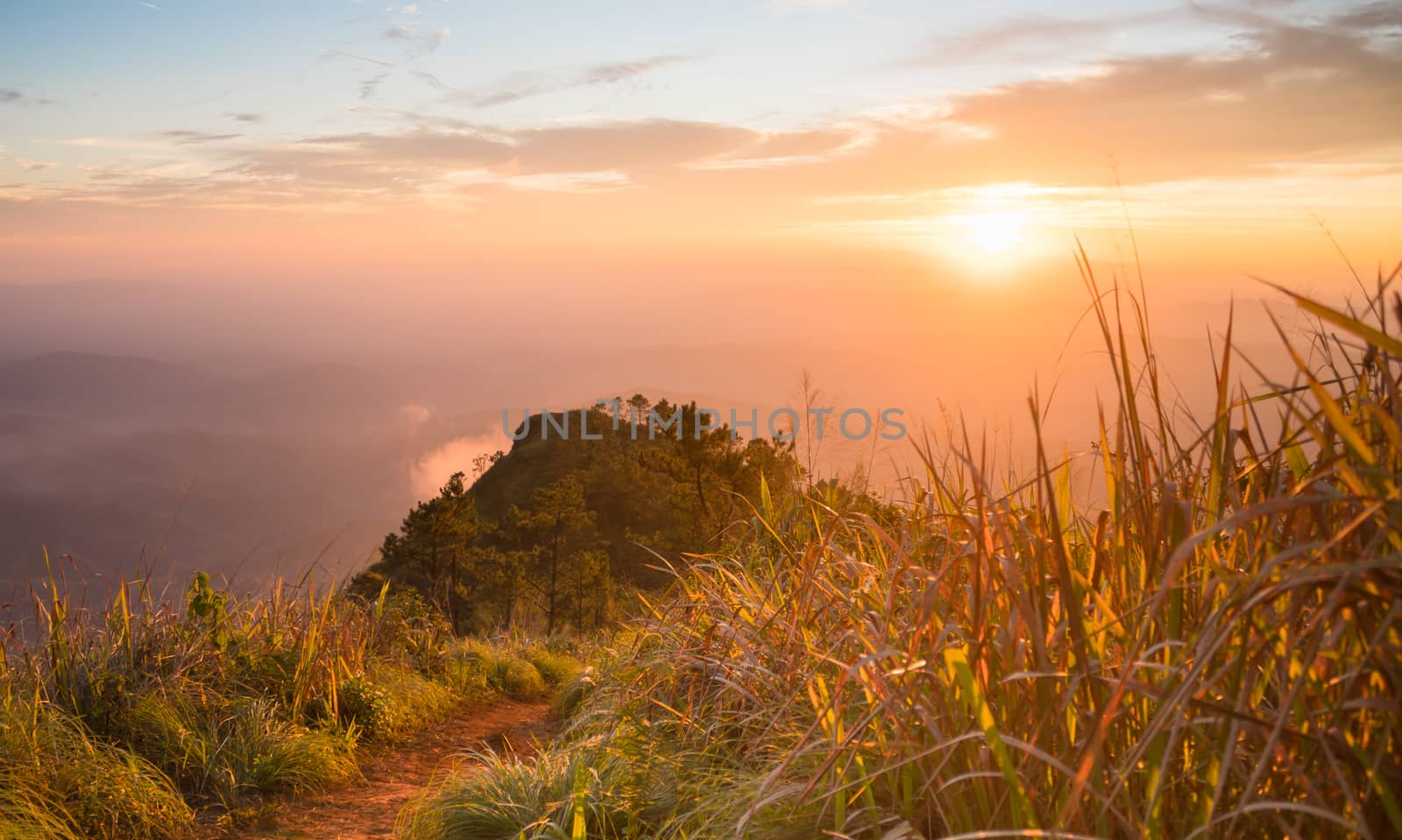 Gold Sunset Light Phu Nom at Phu Langka National Park Thailand with Fog on Sky. Phu Nom at Phu Langka National Park and grass field tree blue sky cloud sunset and fog. 
Thailand travel at Phu Langka National Park