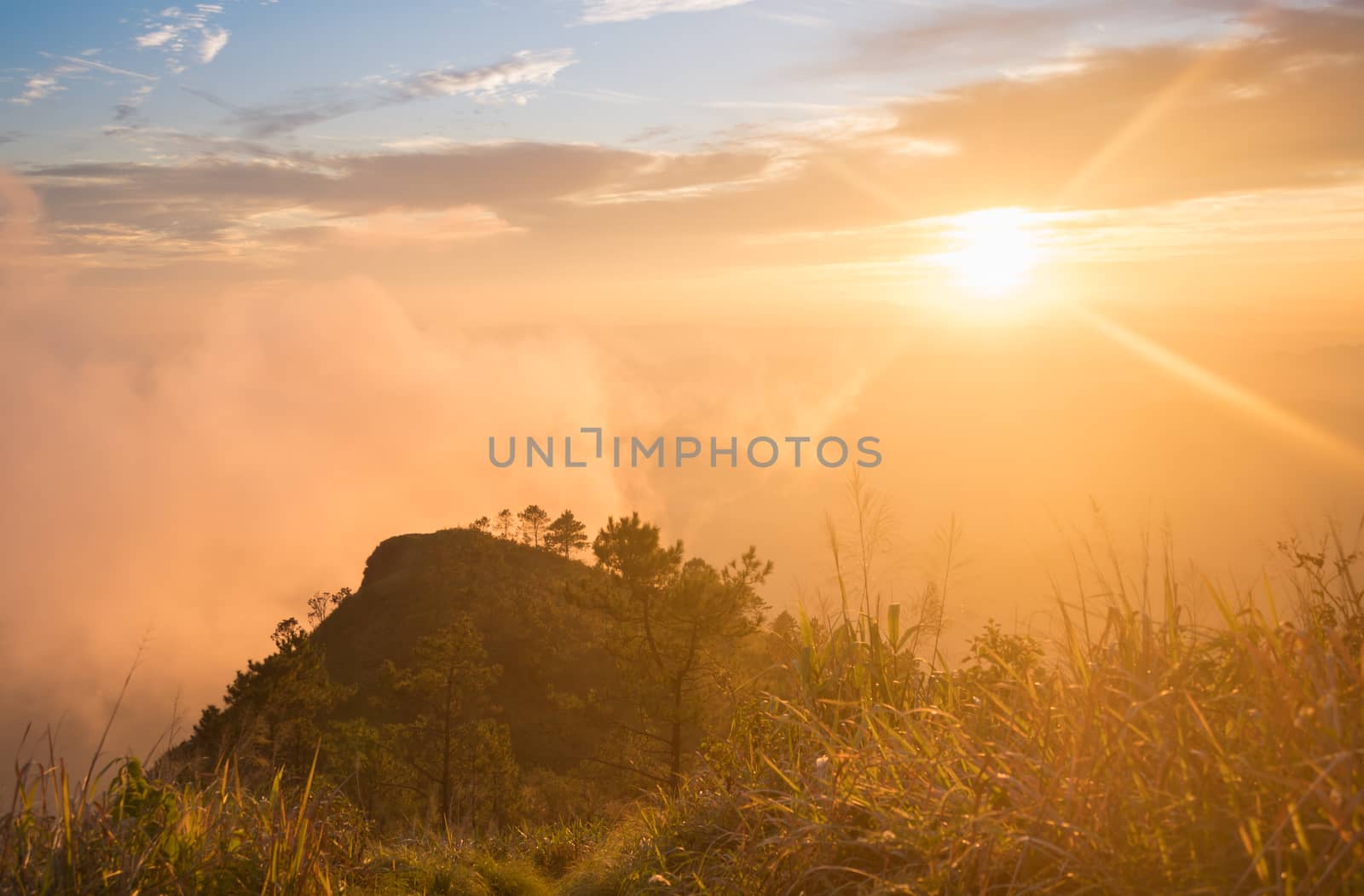 Gold Sunset Light Phu Nom at Phu Langka National Park Thailand with Fog on Sky. Phu Nom at Phu Langka National Park and grass field tree blue sky cloud sunset and fog. 
Thailand travel at Phu Langka National Park