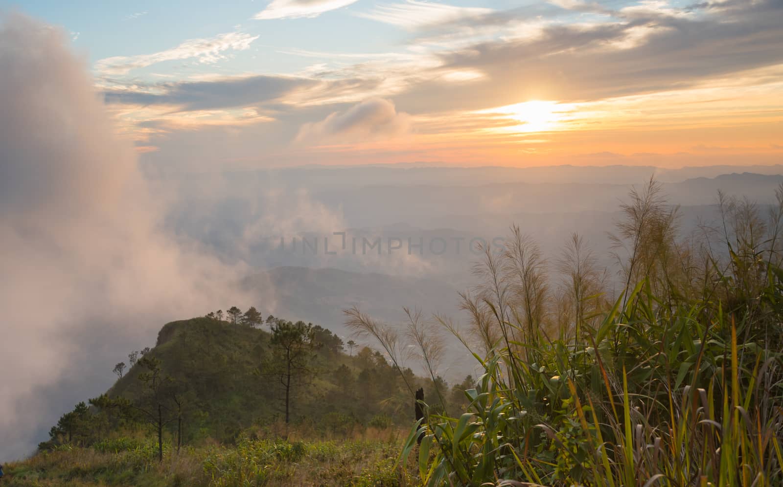Phu Nom at Phu Langka National Park with Sunset and Fog on Sky. Phu Nom at Phu Langka National Park and grass field tree blue sky cloud sunset and fog. Thailand travel at Phu 
Langka National Park