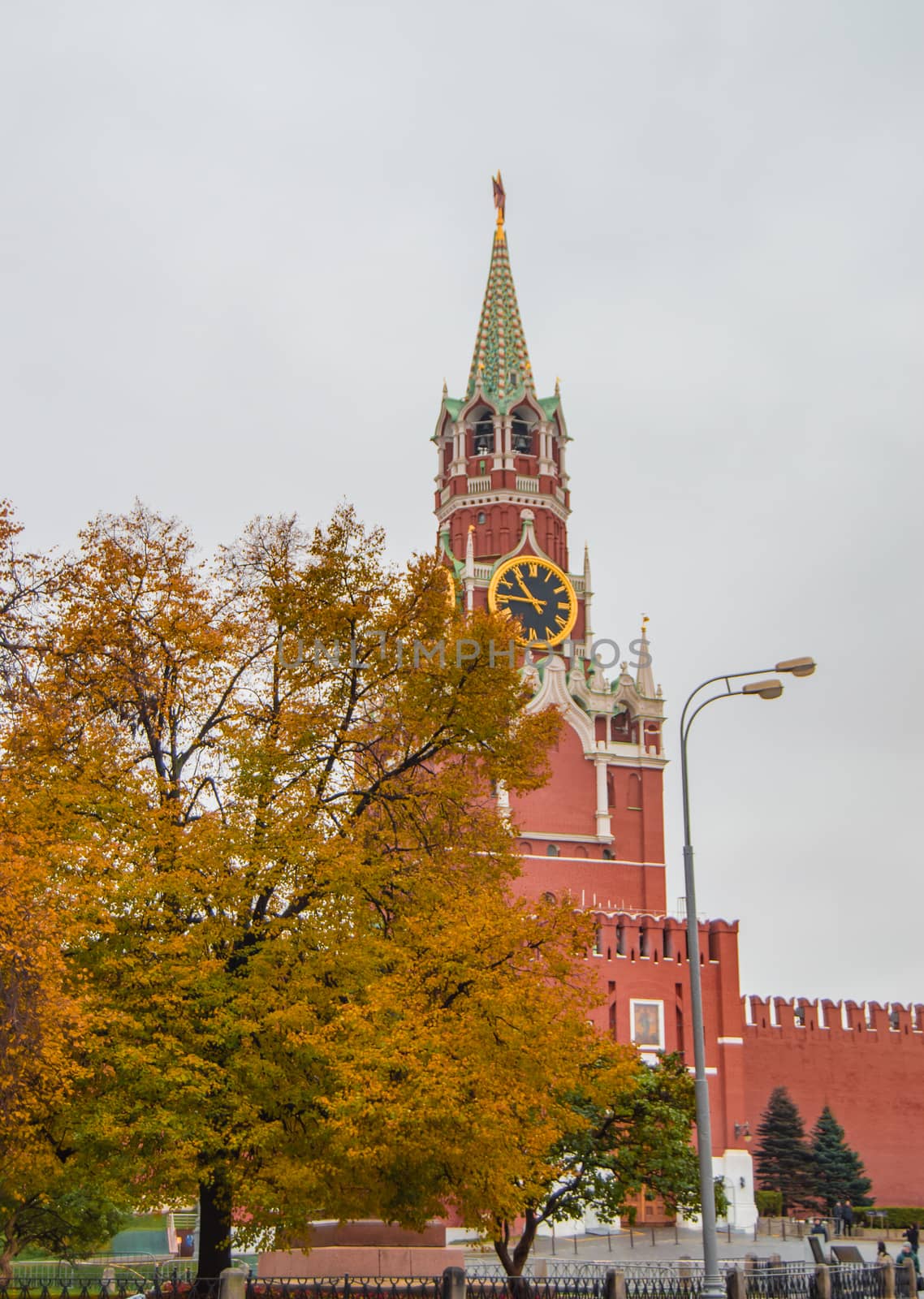 Autumn yellow trees against the background of the Spasskaya clock tower in the Moscow Kremlin, Russia.