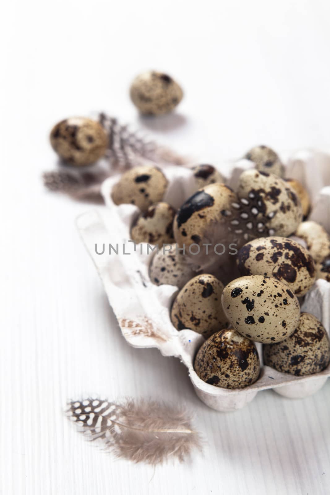 Easter quail eggs in container on white bright background. Space for text