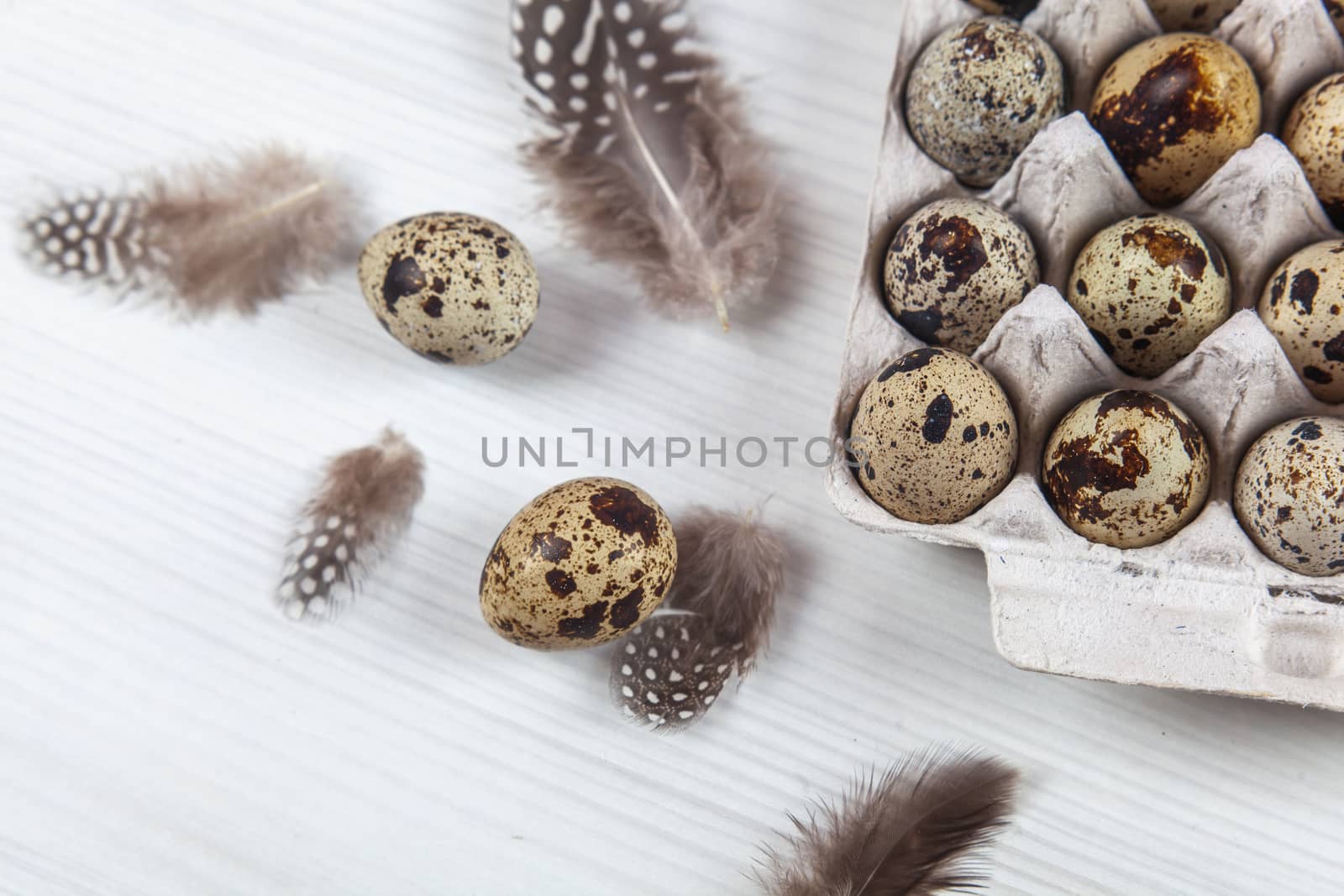 Easter quail eggs in container on white bright background. Space for text