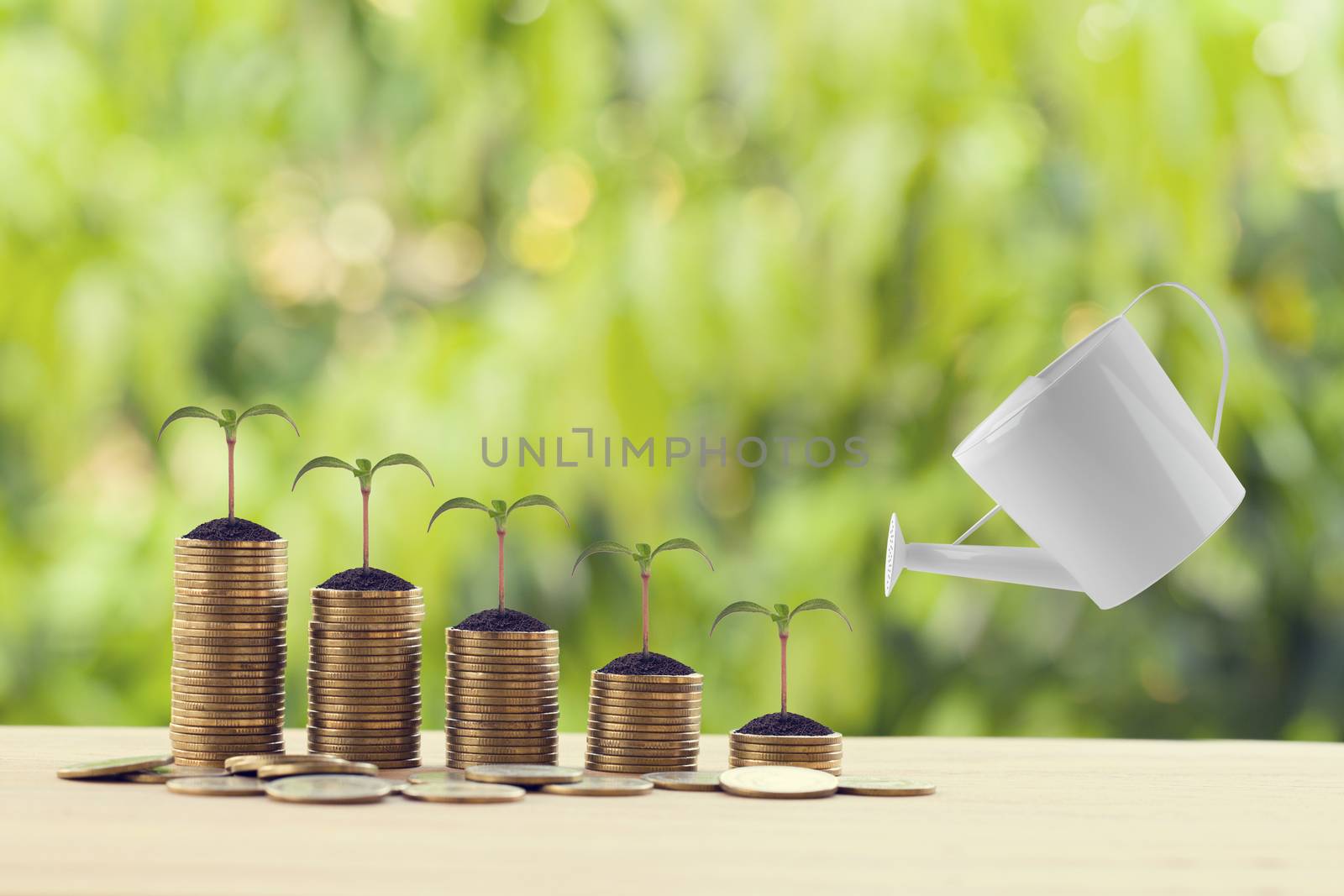 Banking and finance, Saving money concept: Water being poured on green sprout on rows of increasing coins on wood table in the natural green background. Depicts asset security for sustainable growth.