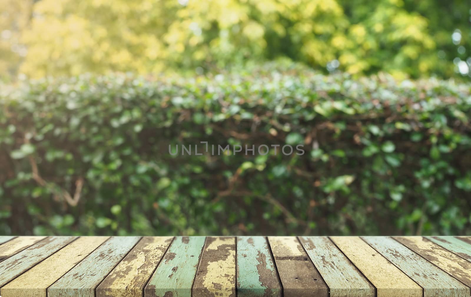 Empty wood on natural blurred background.