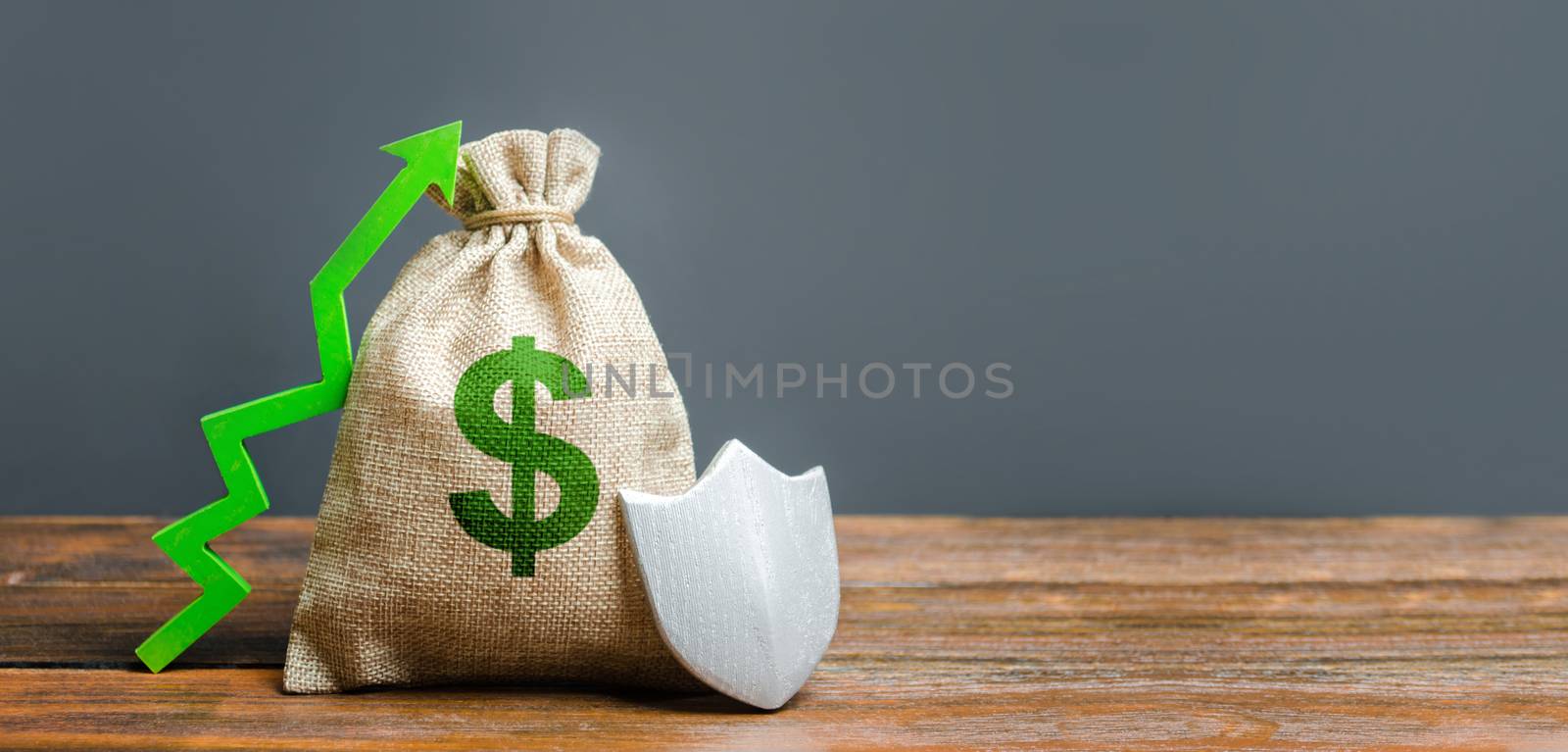 Bag with green dollar symbol, a green arrow up and shield. Concept of protection of money, guaranteed deposits. Client rights protection. safeguarded capital. Increasing the safety of savings
