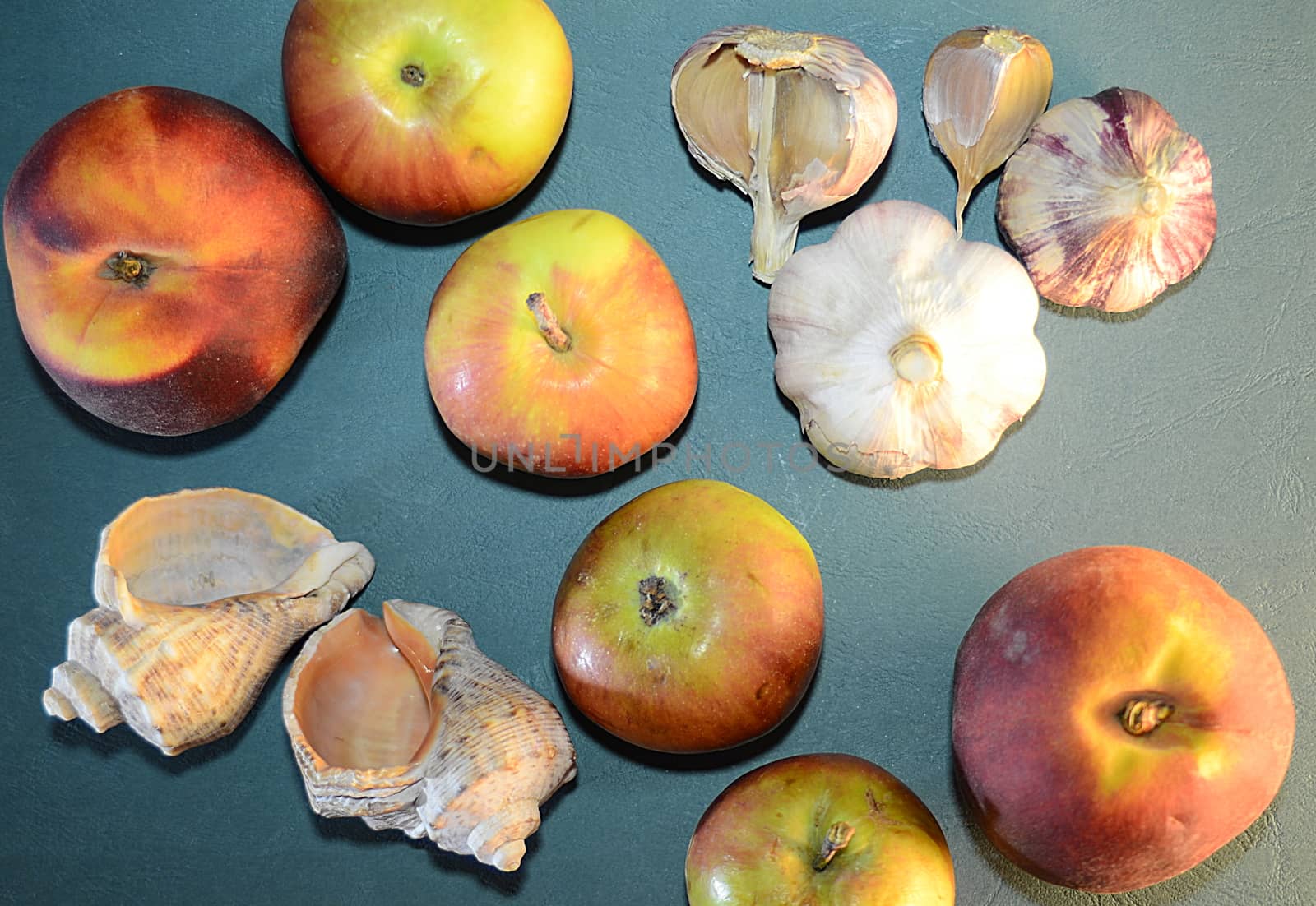 apples, peaches, garlic and seashells - still life on a blue skin background