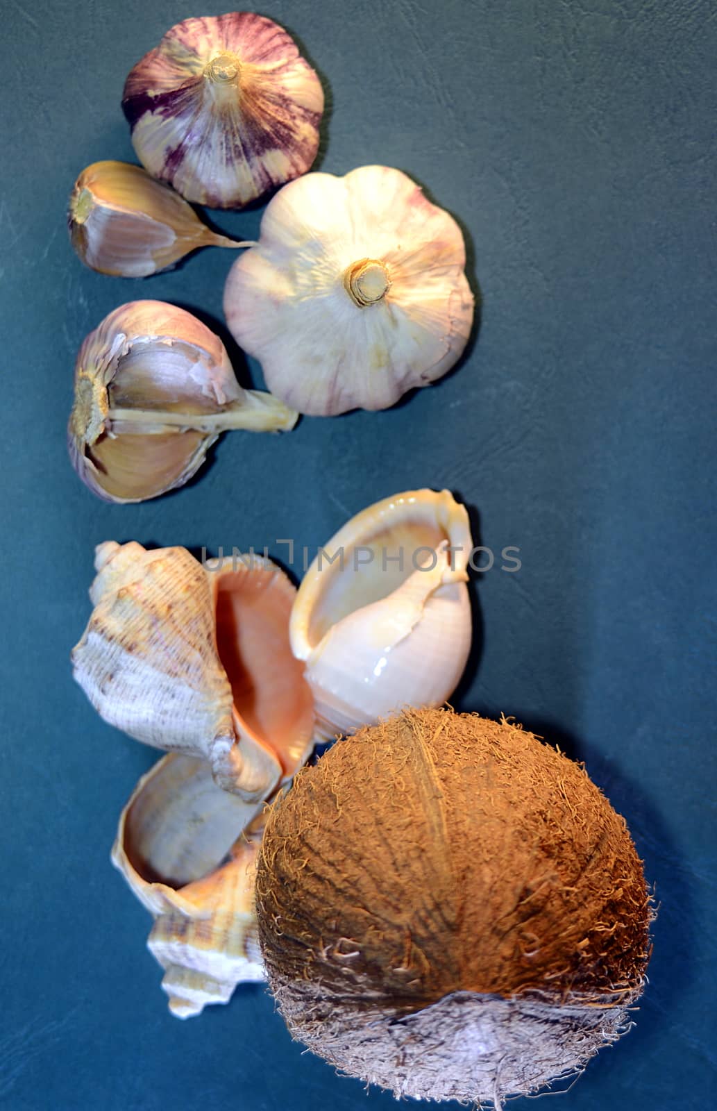 heads of garlic, sea shells and coconut - still life on a blue background