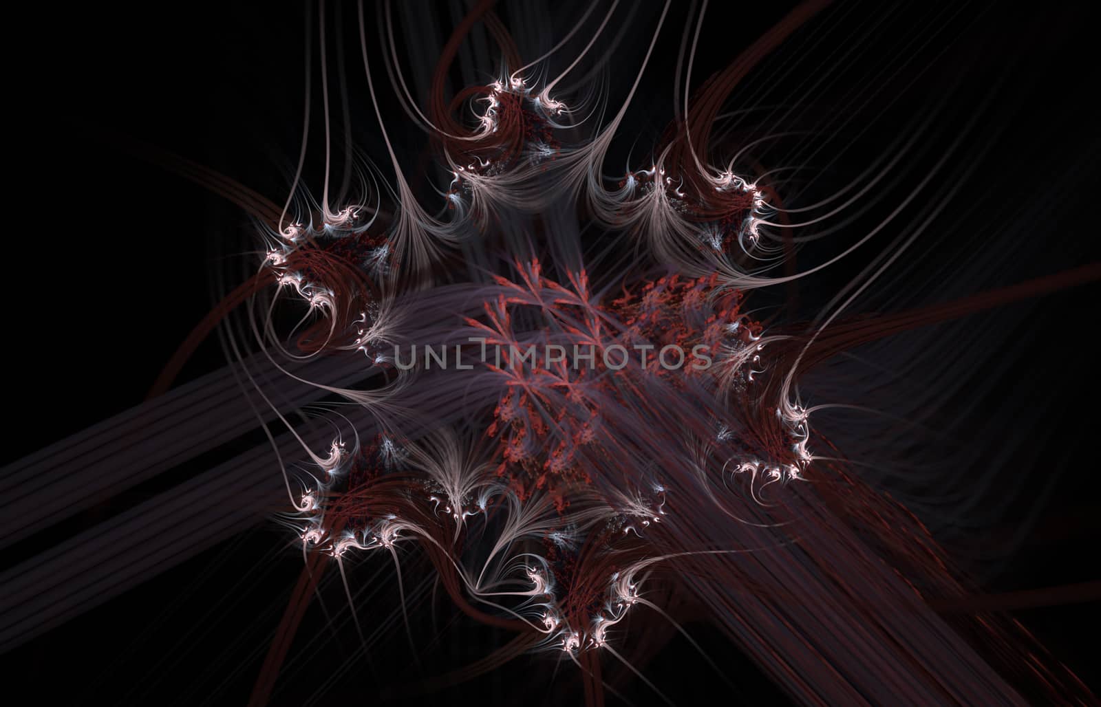 An abstract computer generated fractal design. Mysterious dark flower