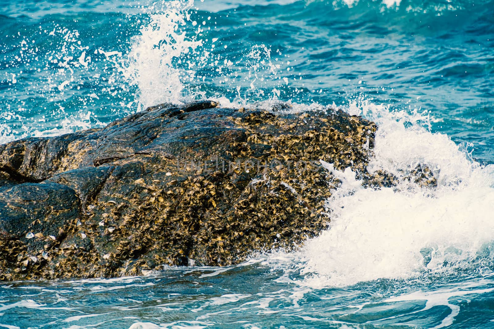 The waves hit the rocks. Used to be a habitat for shellfish