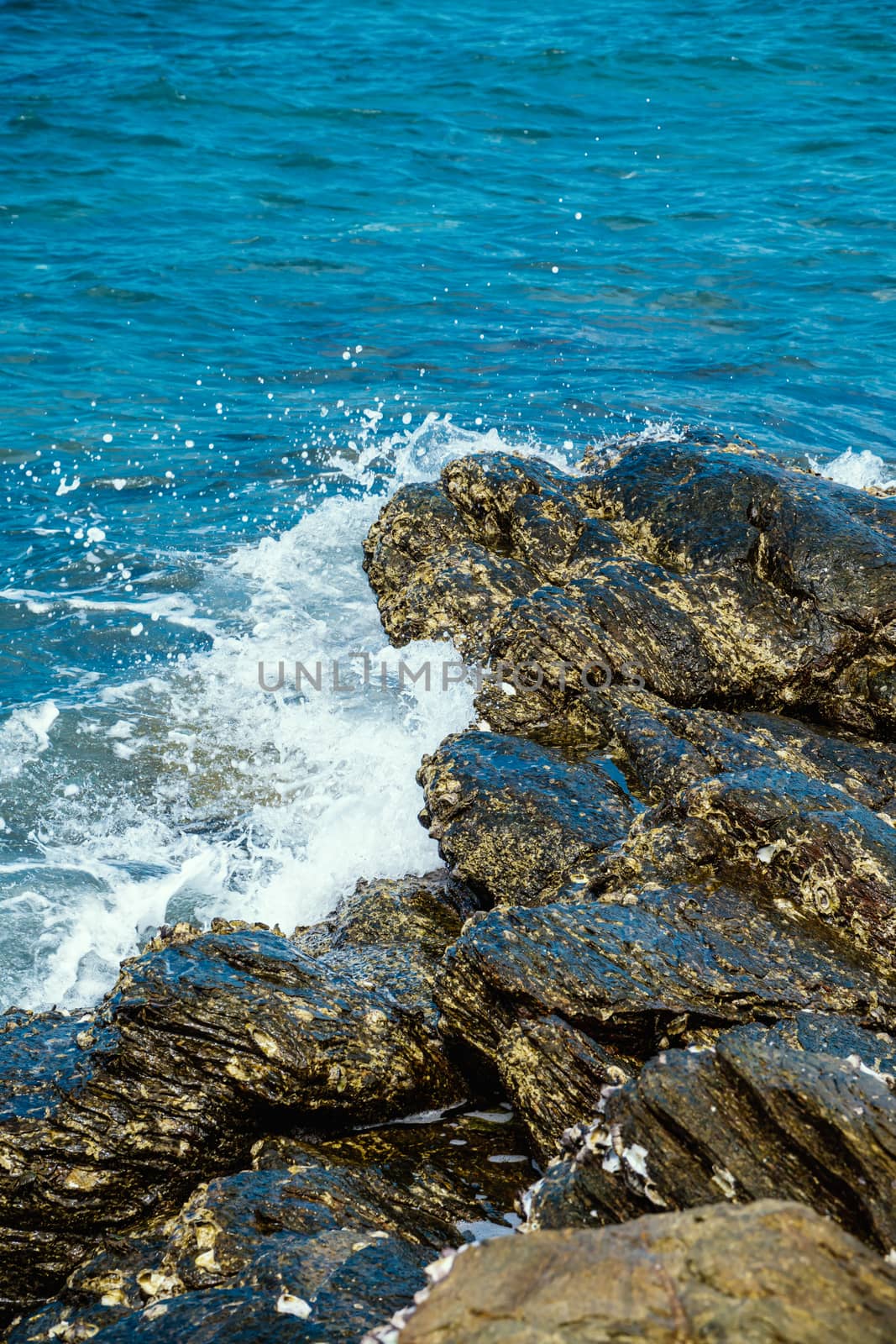 The waves hit the rocks. Used to be a habitat for shellfish