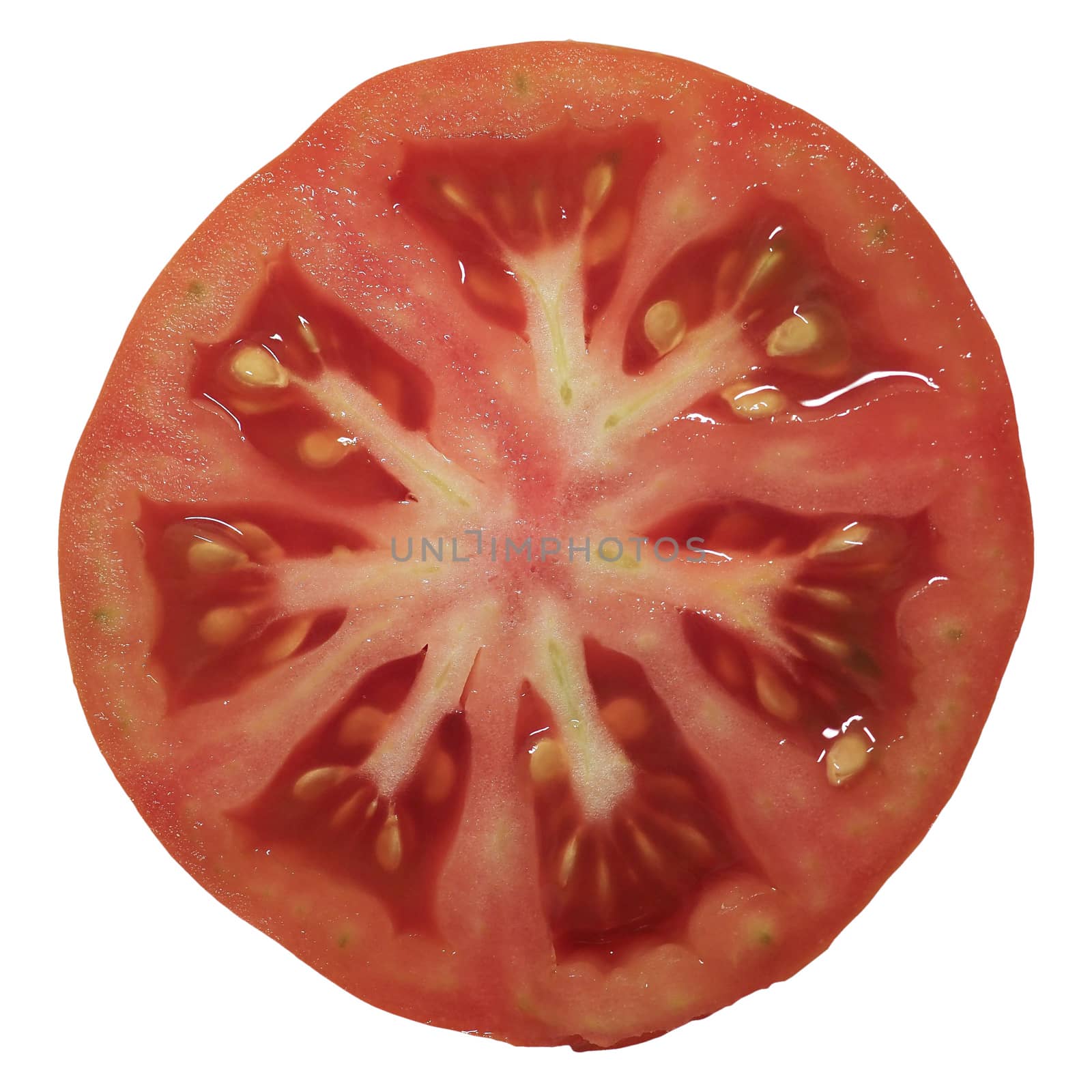 slice of sliced tomato isolated over white by claudiodivizia