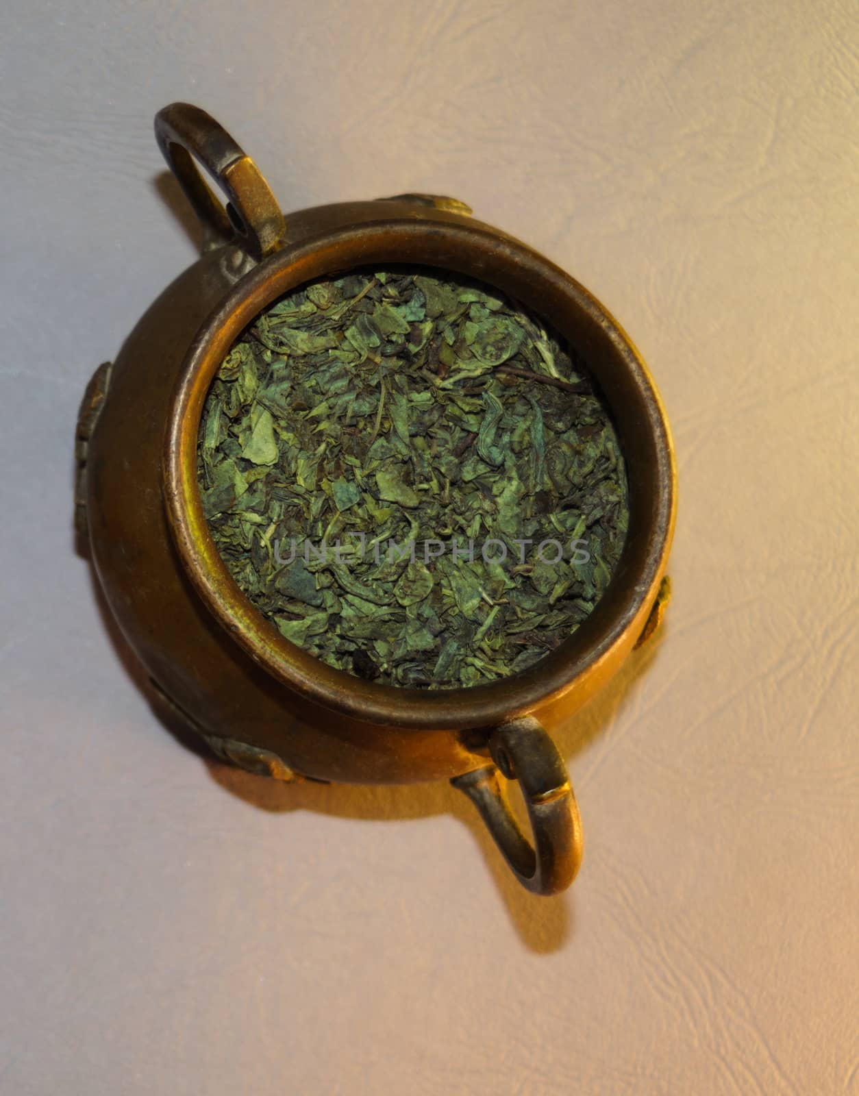 copper vase with green large leaf tea next to light gray background